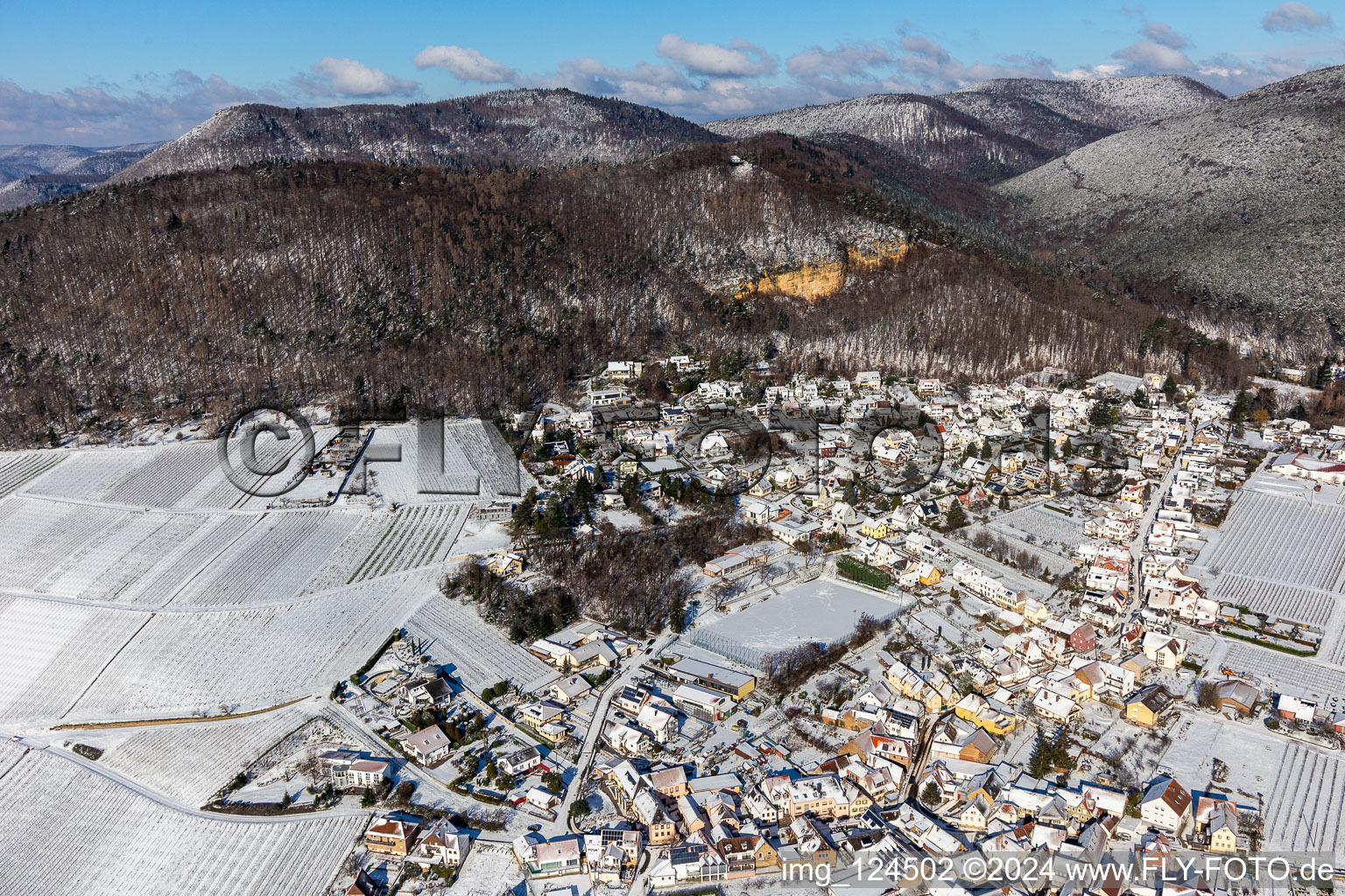 Vue aérienne de Vue aérienne d'hiver dans la neige à Frankweiler dans le département Rhénanie-Palatinat, Allemagne