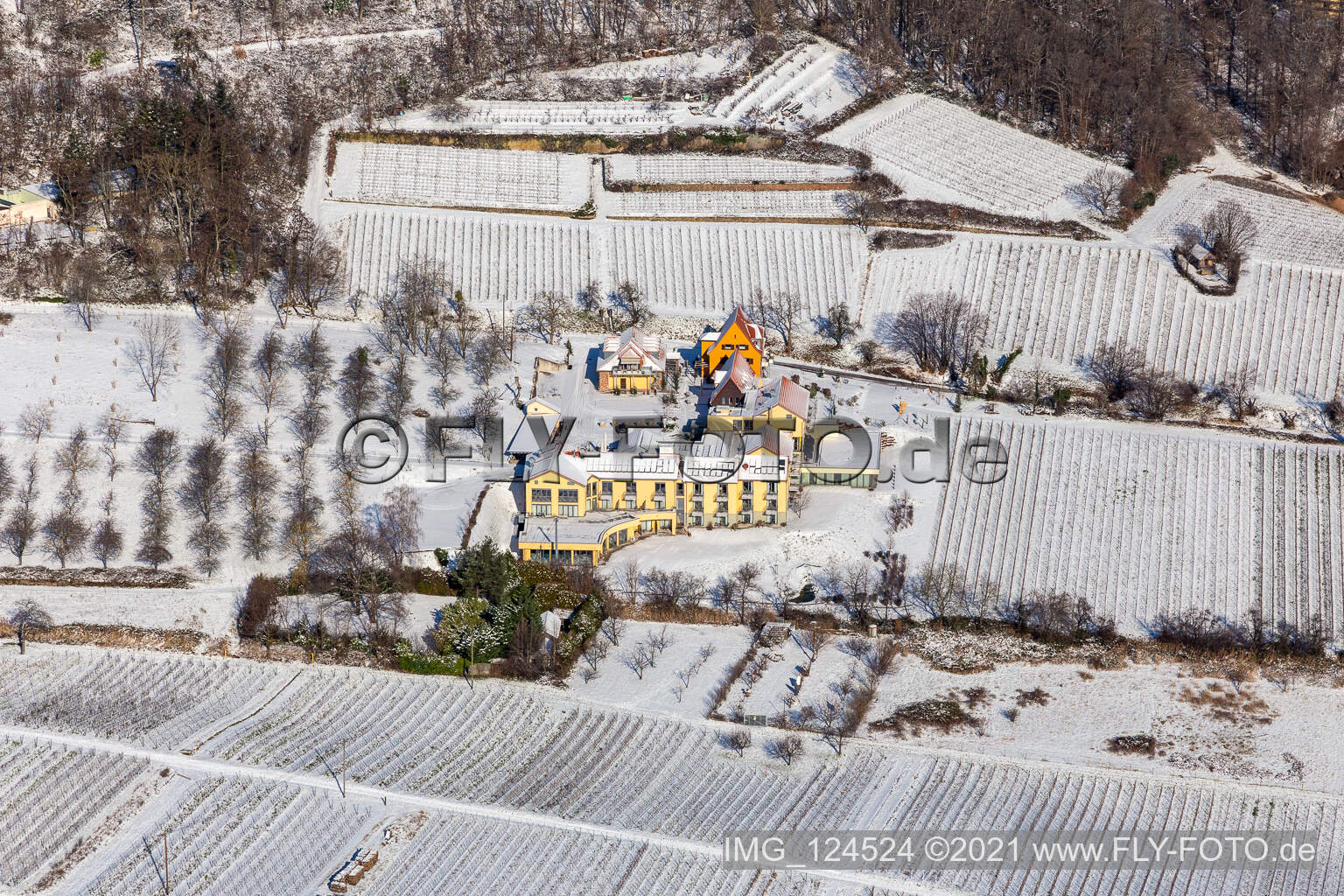 Vue aérienne de Le Wohlfühlhotel Alte Rebschule et le Gasthaus Sesel en hiver et enneigés au printemps à Rhodt unter Rietburg dans le département Rhénanie-Palatinat, Allemagne