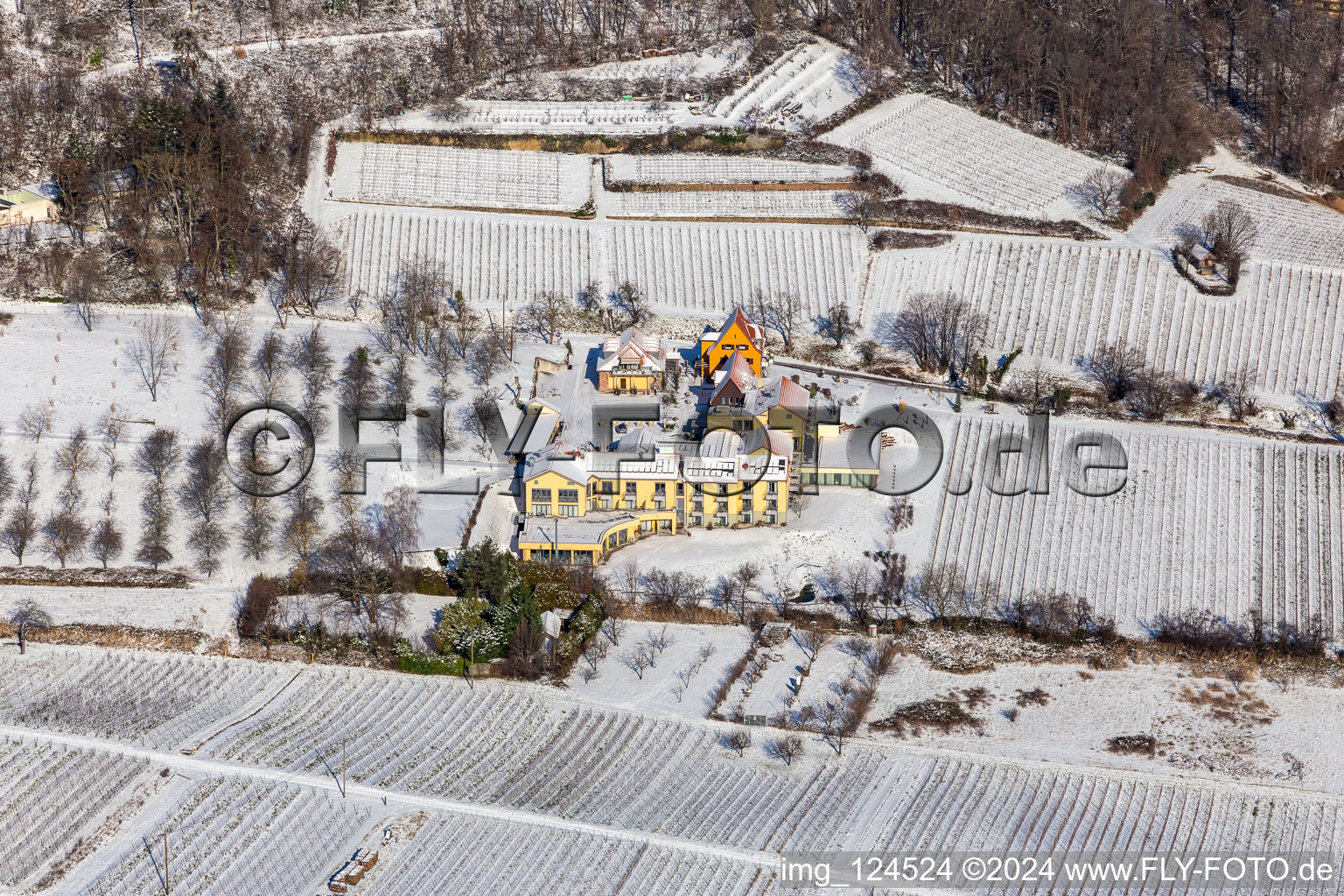 Vue aérienne de Le Wohlfühlhotel Alte Rebschule et le Gasthaus Sesel en hiver et enneigés au printemps à Rhodt unter Rietburg dans le département Rhénanie-Palatinat, Allemagne