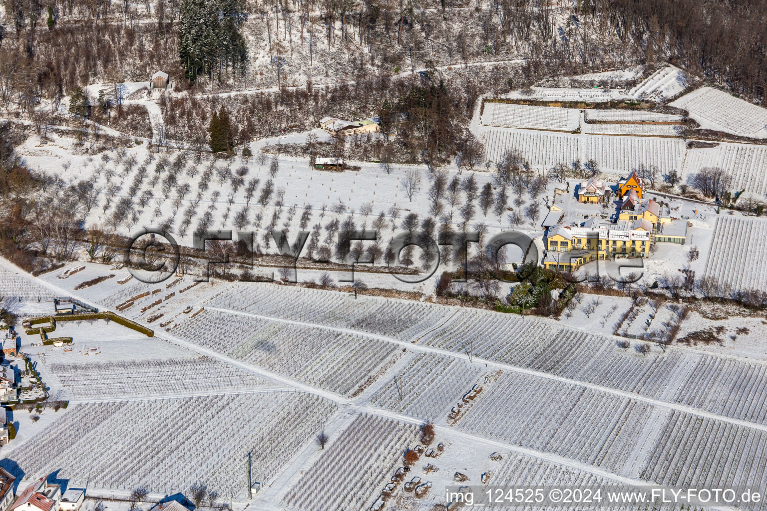 Vue aérienne de Le Wohlfühlhotel Alte Rebschule et le Gasthaus Sesel en hiver et enneigés au printemps à le quartier Rhodt in Rhodt unter Rietburg dans le département Rhénanie-Palatinat, Allemagne