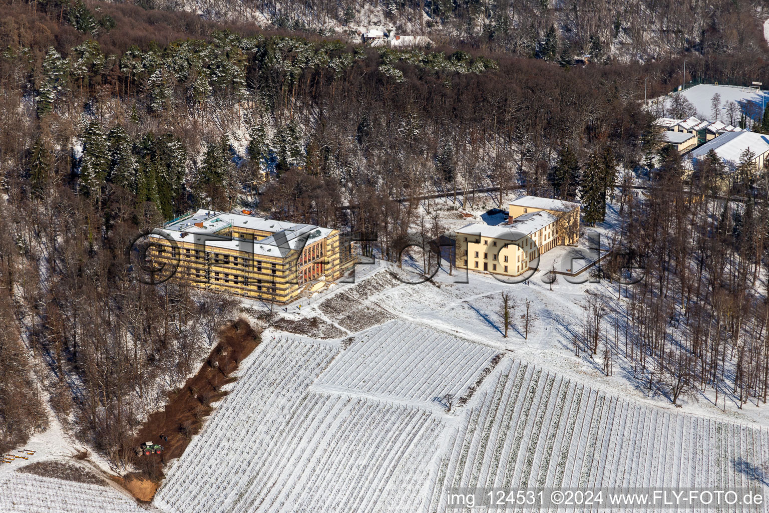 Vue aérienne de Château de la Villa Ludwigshöhe enneigé en hiver à Edenkoben dans le département Rhénanie-Palatinat, Allemagne