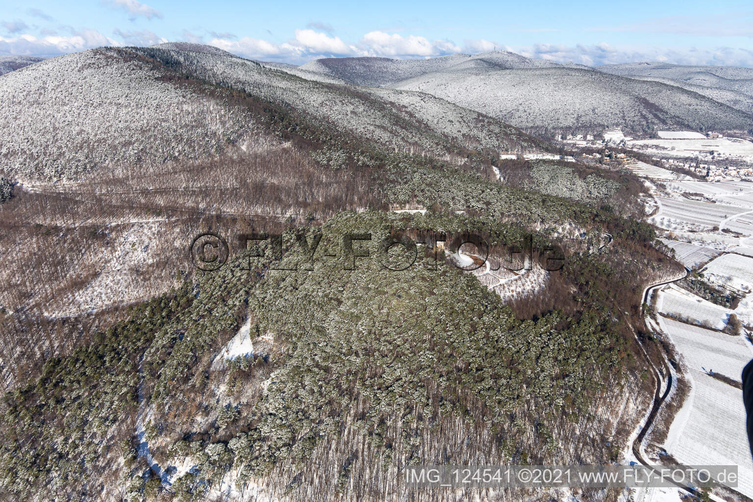 Vue aérienne de Vue aérienne d'hiver dans la neige du Monument de la Victoire et de la Paix à Edenkoben dans le département Rhénanie-Palatinat, Allemagne