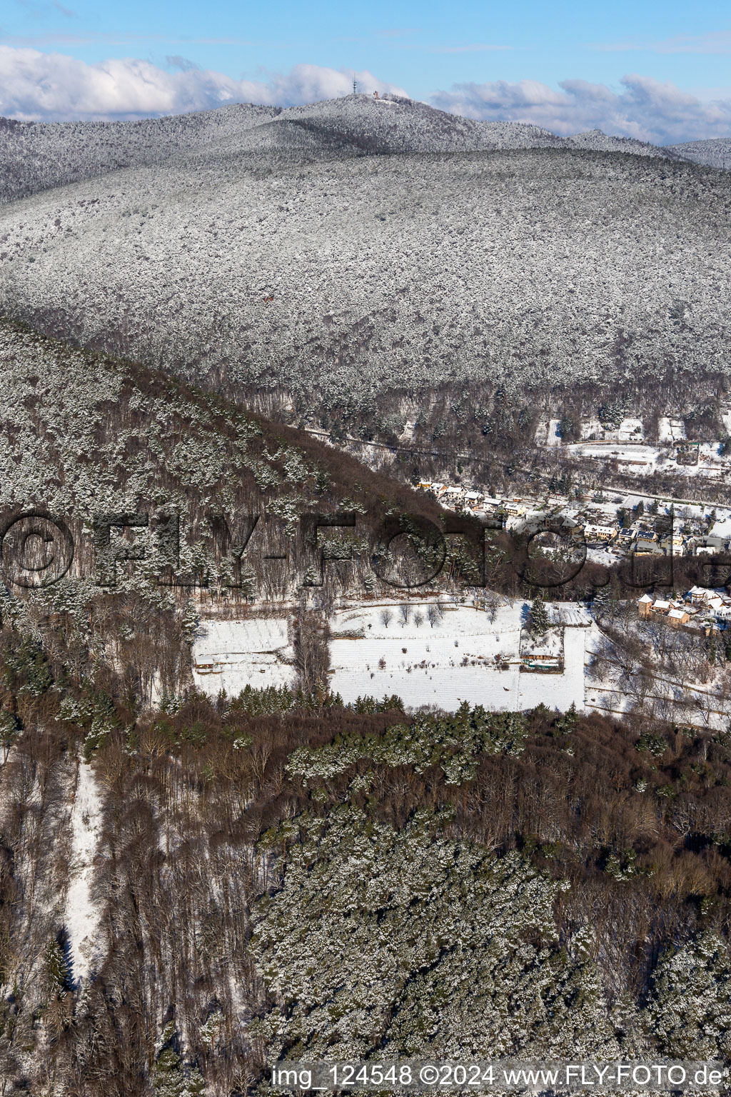 Vue aérienne de Vue aérienne d'hiver dans la neige du Großer Kalmit à Maikammer dans le département Rhénanie-Palatinat, Allemagne