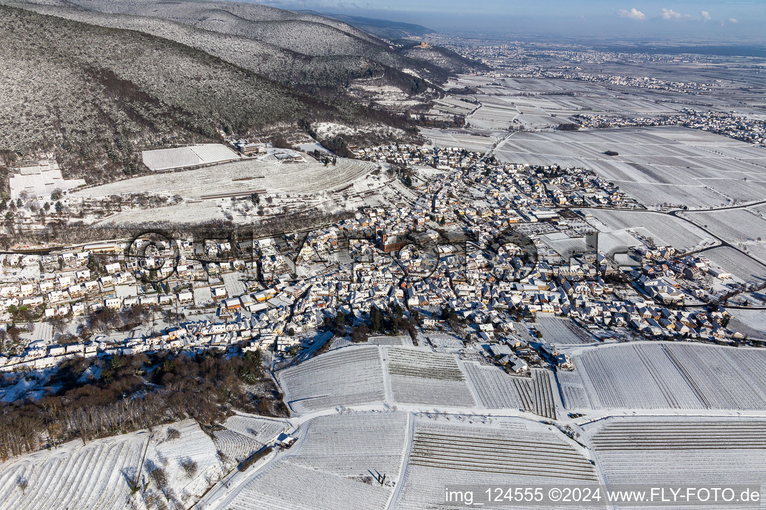 Vue aérienne de Village enneigé d'hiver - vue à la lisière du Haardt de la forêt du Palatinat entre les vignes à le quartier SaintMartin in Sankt Martin dans le département Rhénanie-Palatinat, Allemagne