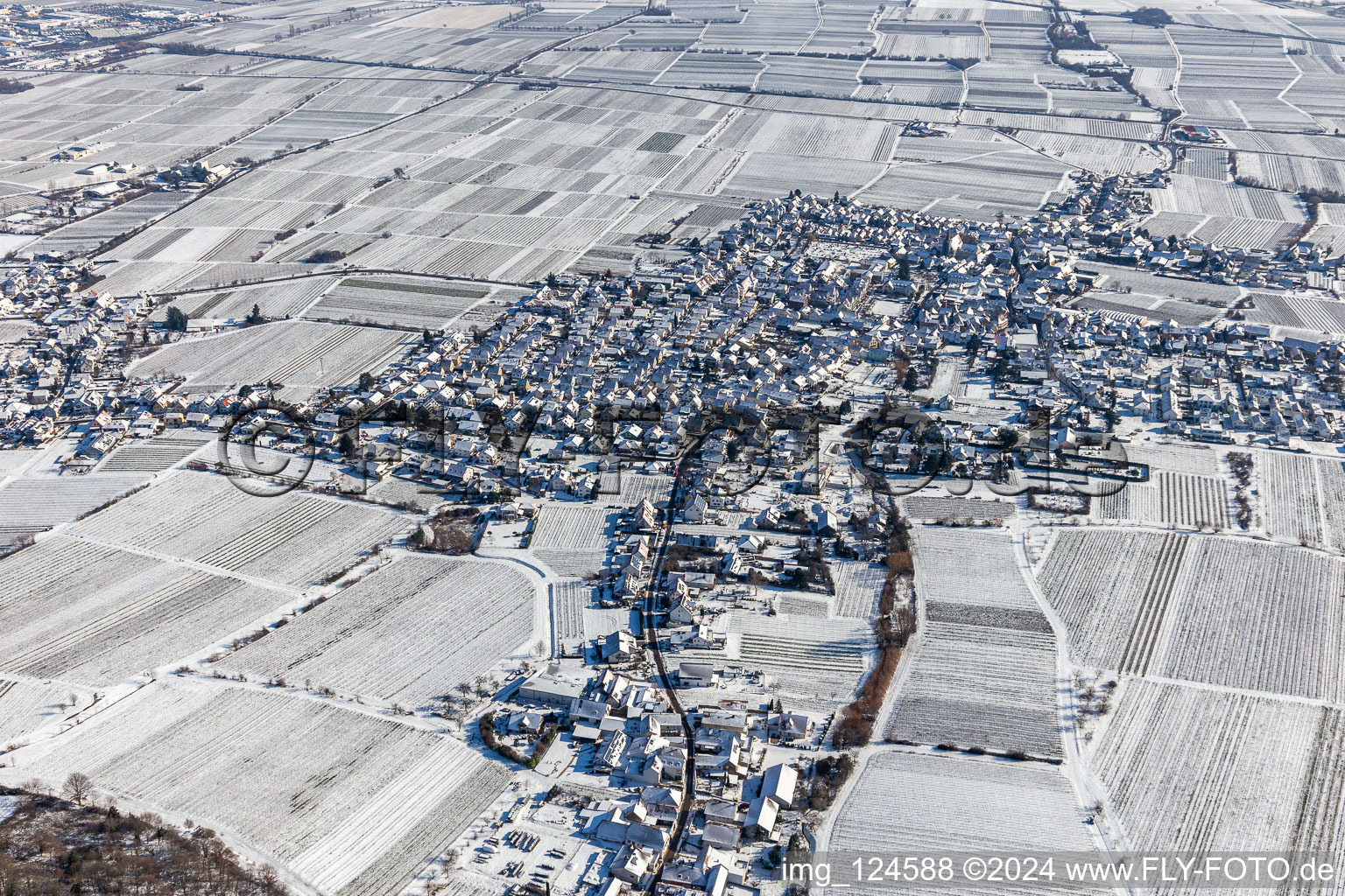 Vue aérienne de Vignobles enneigés en hiver à le quartier Diedesfeld in Neustadt an der Weinstraße dans le département Rhénanie-Palatinat, Allemagne