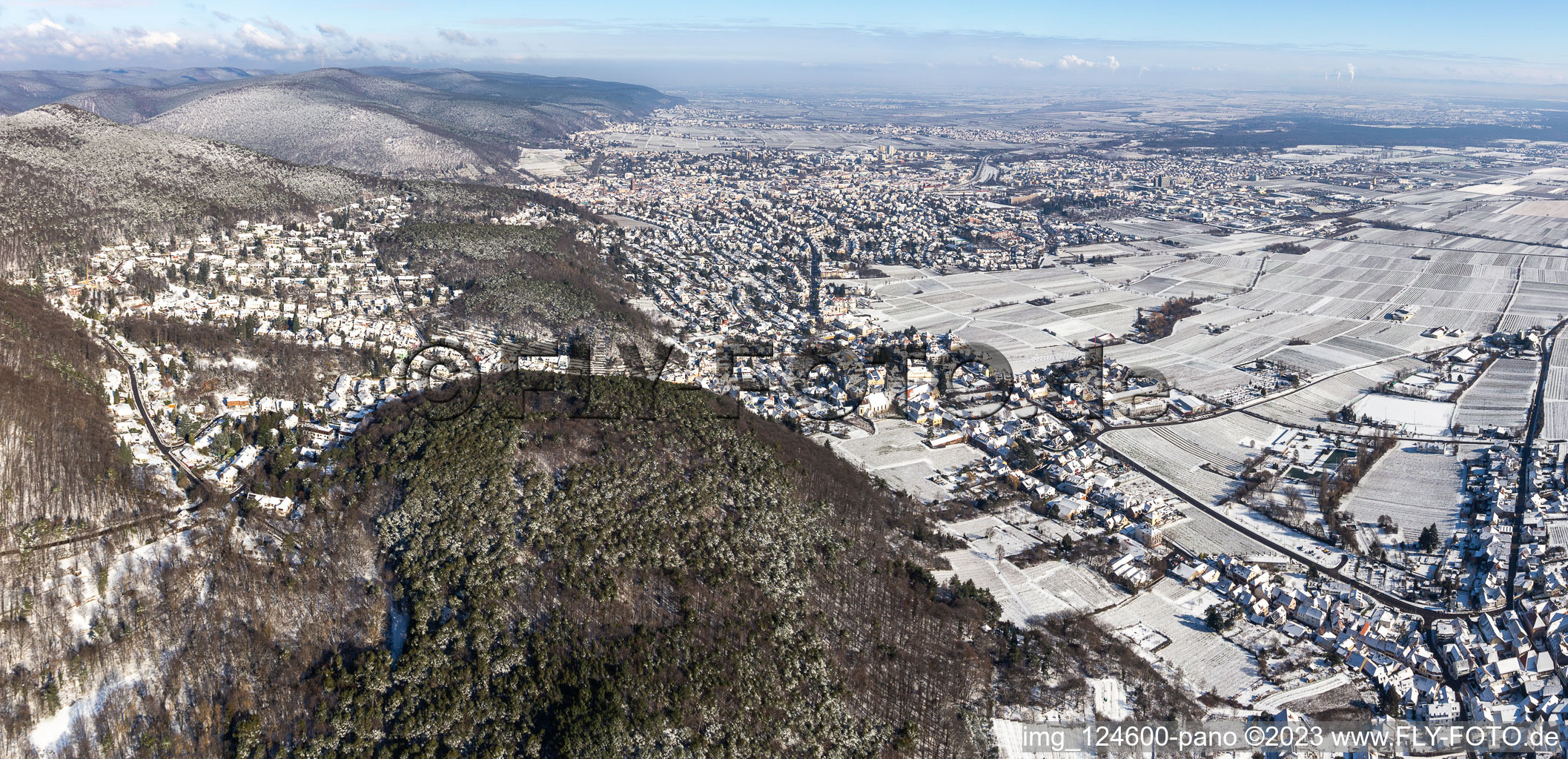 Vue aérienne de Vue aérienne d'hiver dans la neige à Neustadt an der Weinstraße dans le département Rhénanie-Palatinat, Allemagne