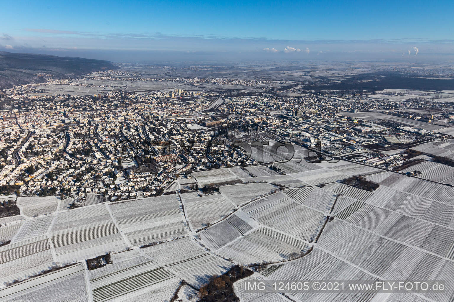 Vue aérienne de Vue aérienne d'hiver dans la neige à Neustadt an der Weinstraße dans le département Rhénanie-Palatinat, Allemagne