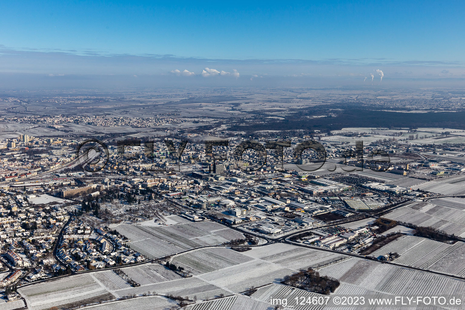 Vue aérienne de Vue aérienne d'hiver dans la neige à Neustadt an der Weinstraße dans le département Rhénanie-Palatinat, Allemagne