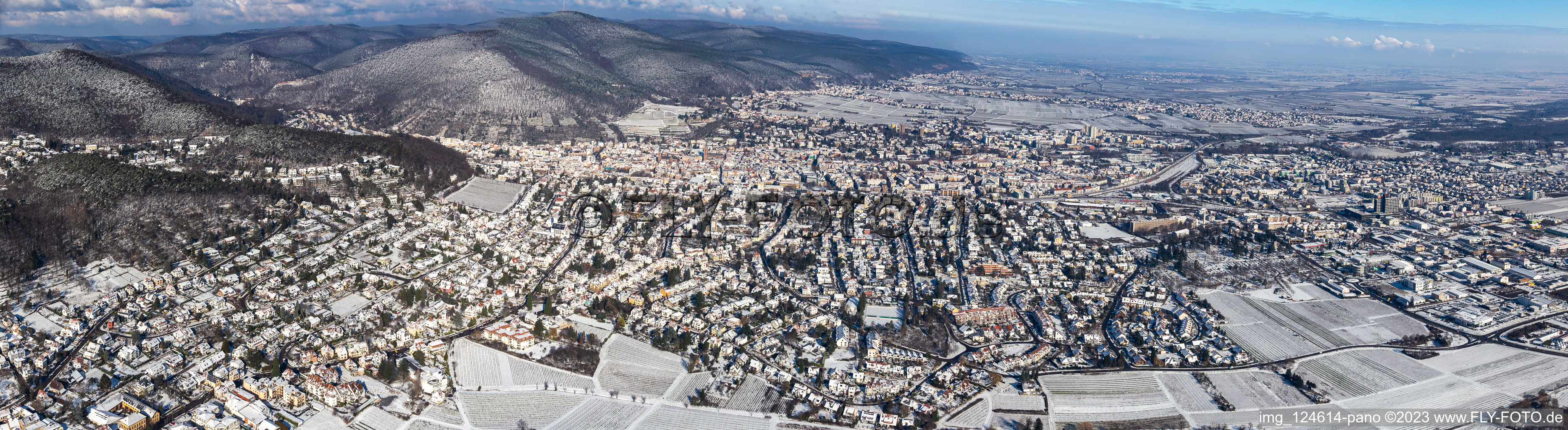 Vue aérienne de Vue aérienne panoramique d'hiver dans la neige à Neustadt an der Weinstraße dans le département Rhénanie-Palatinat, Allemagne