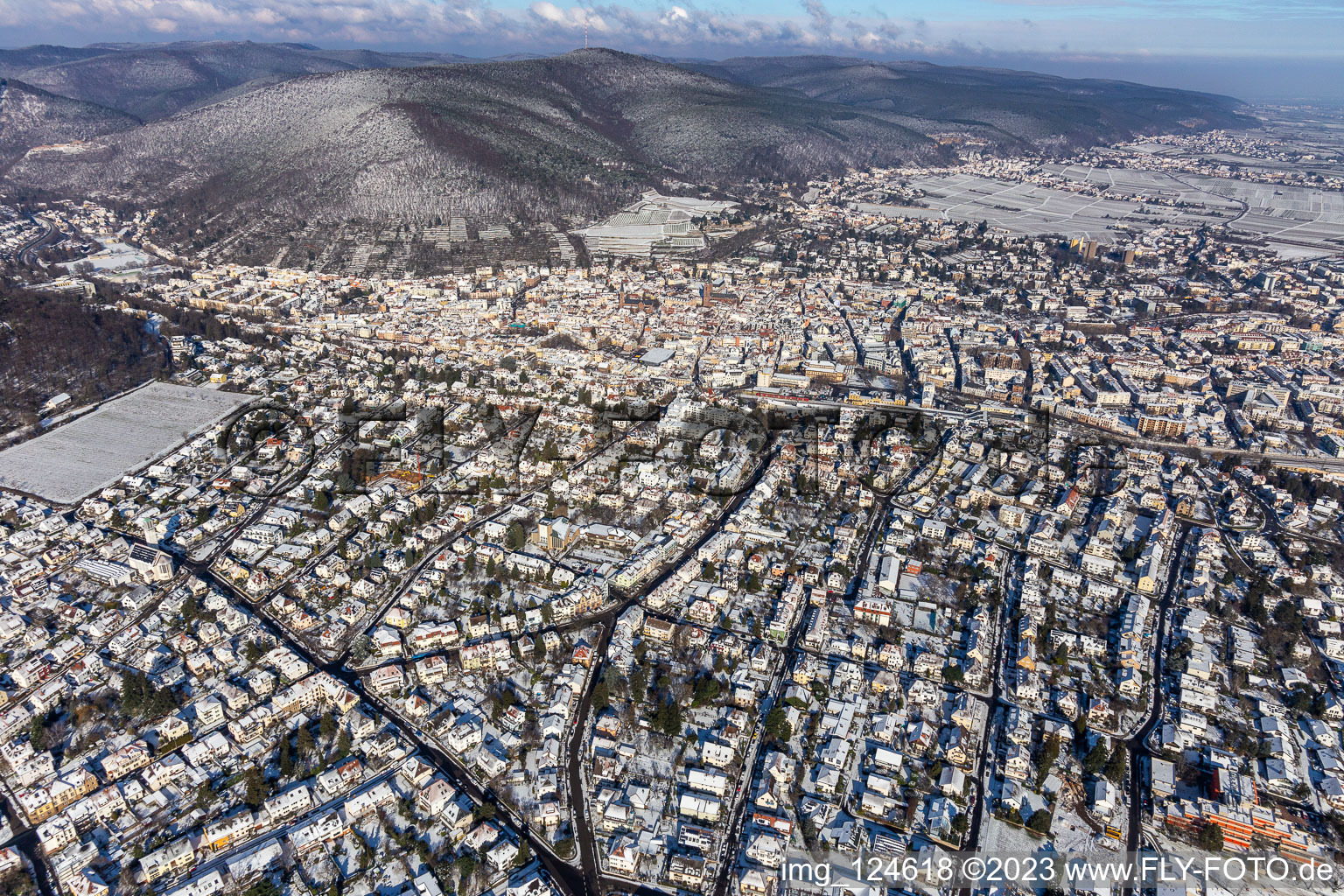 Vue aérienne de Vue aérienne d'hiver dans la neige à Neustadt an der Weinstraße dans le département Rhénanie-Palatinat, Allemagne