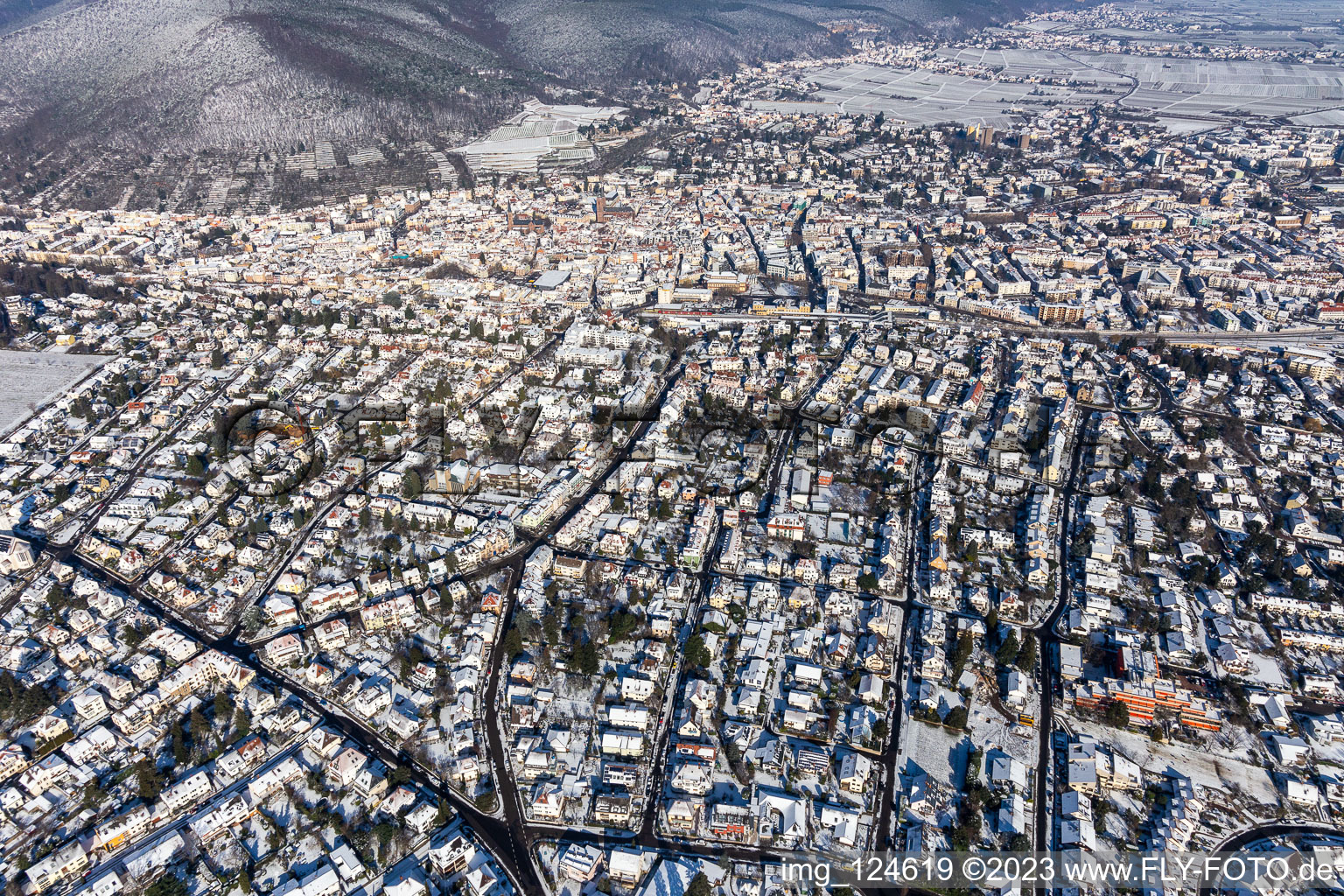 Vue aérienne de Vue aérienne d'hiver dans la neige à Neustadt an der Weinstraße dans le département Rhénanie-Palatinat, Allemagne