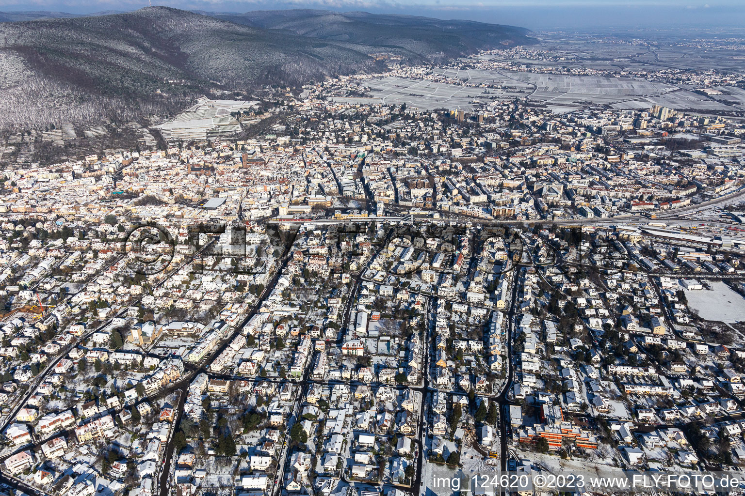 Vue aérienne de Vue aérienne d'hiver dans la neige à Neustadt an der Weinstraße dans le département Rhénanie-Palatinat, Allemagne