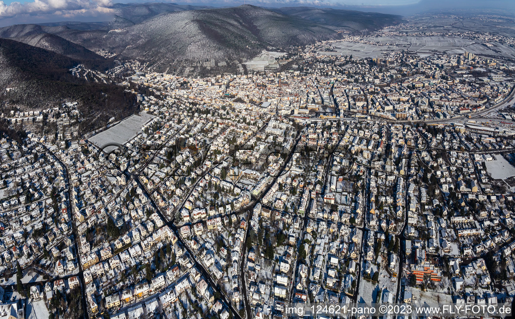 Vue aérienne de Vue aérienne d'hiver dans la neige à Neustadt an der Weinstraße dans le département Rhénanie-Palatinat, Allemagne