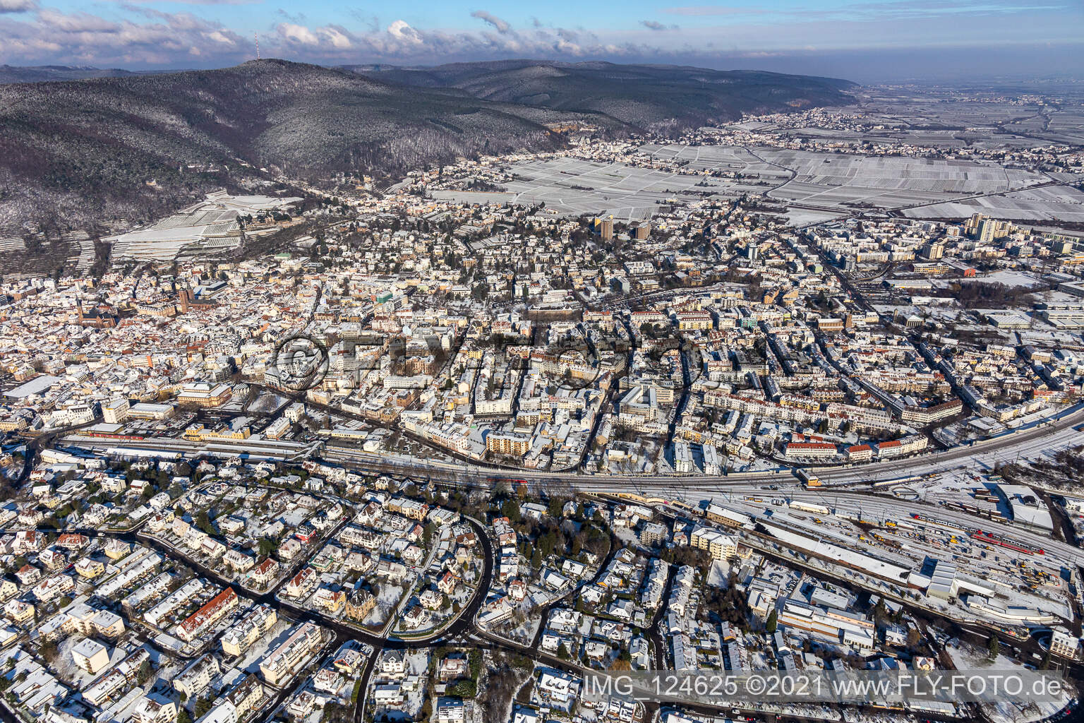 Vue aérienne de Vue aérienne d'hiver dans la neige à Neustadt an der Weinstraße dans le département Rhénanie-Palatinat, Allemagne