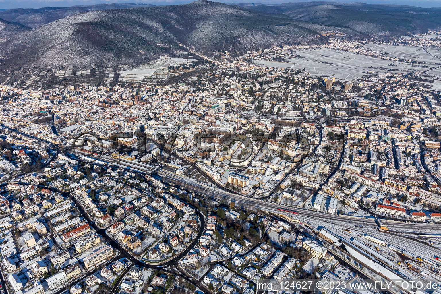 Vue aérienne de Vue aérienne d'hiver dans la neige à Neustadt an der Weinstraße dans le département Rhénanie-Palatinat, Allemagne