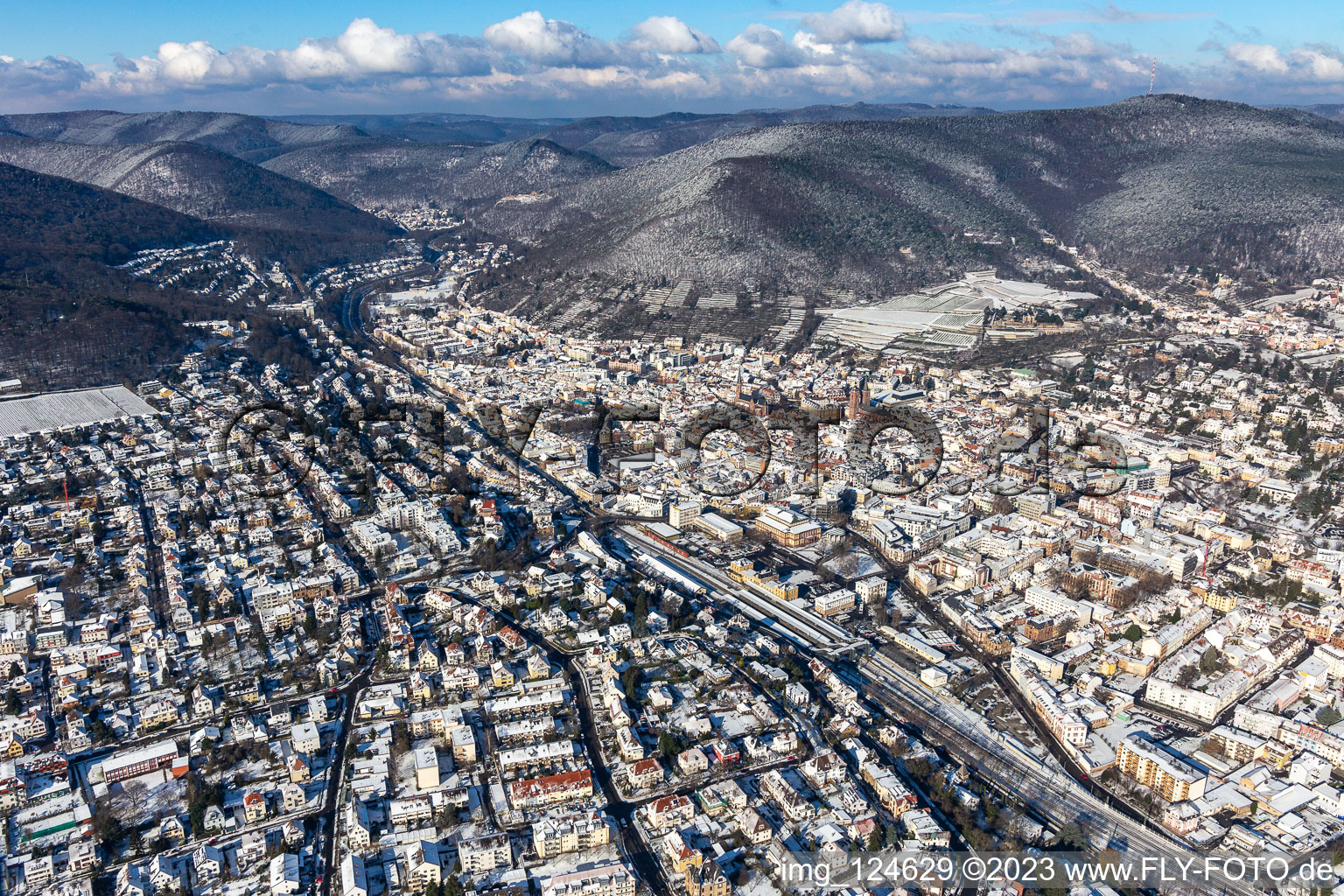 Vue aérienne de Vue aérienne d'hiver dans la neige à Neustadt an der Weinstraße dans le département Rhénanie-Palatinat, Allemagne