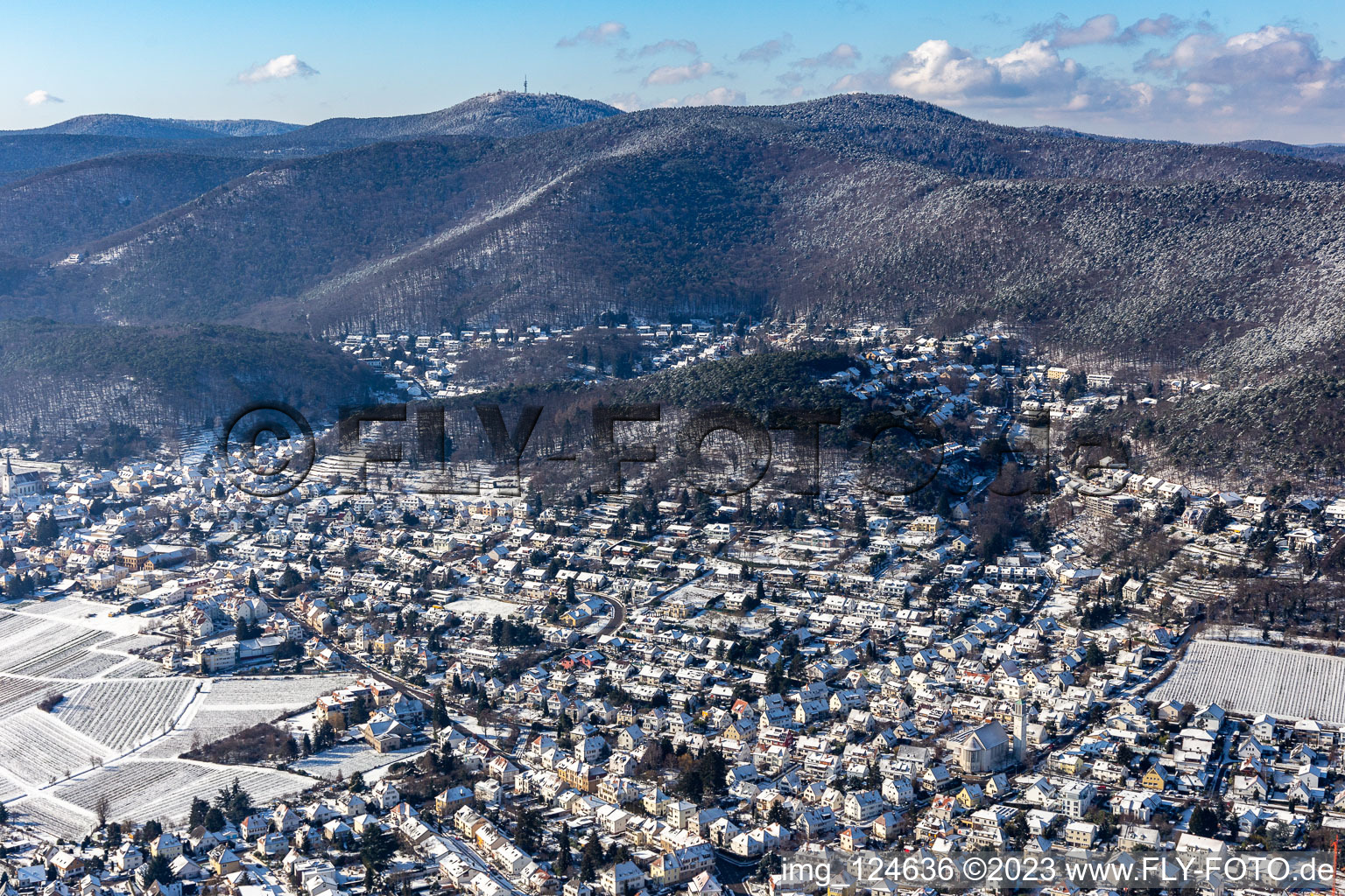 Vue aérienne de Vue aérienne d'hiver dans la neige à le quartier Hambach an der Weinstraße in Neustadt an der Weinstraße dans le département Rhénanie-Palatinat, Allemagne