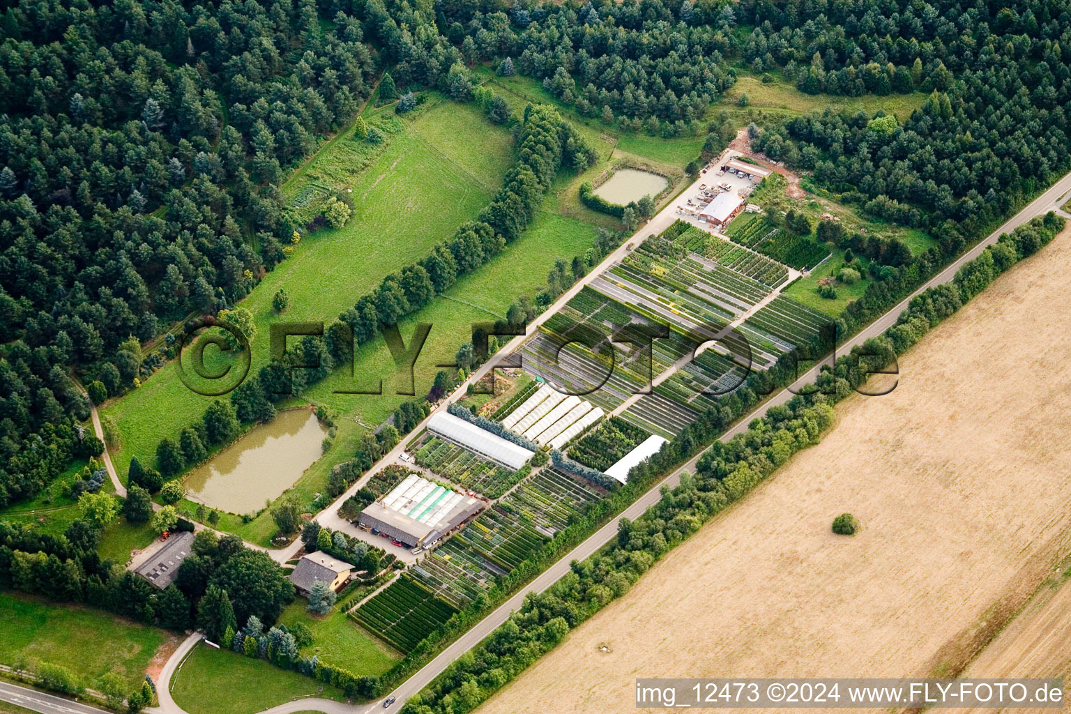 Vue aérienne de Marché aux plantes PlantOase Jansen avec parc de rhododendrons dans le quartier de Langensteinbach à le quartier Spielberg in Karlsbad dans le département Bade-Wurtemberg, Allemagne