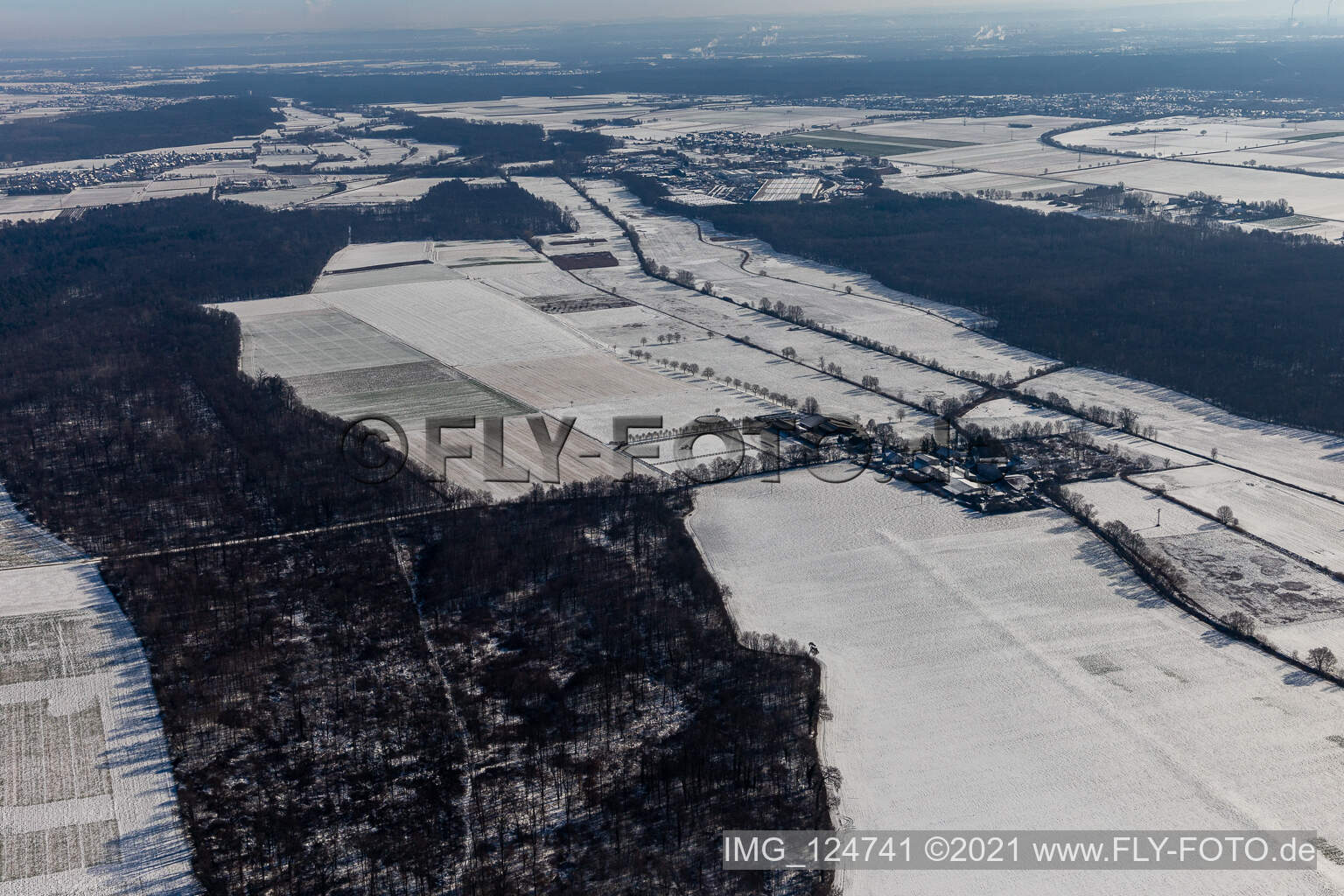 Vue aérienne de Vue aérienne d'hiver dans la neige Palatino Ranch à Steinweiler dans le département Rhénanie-Palatinat, Allemagne