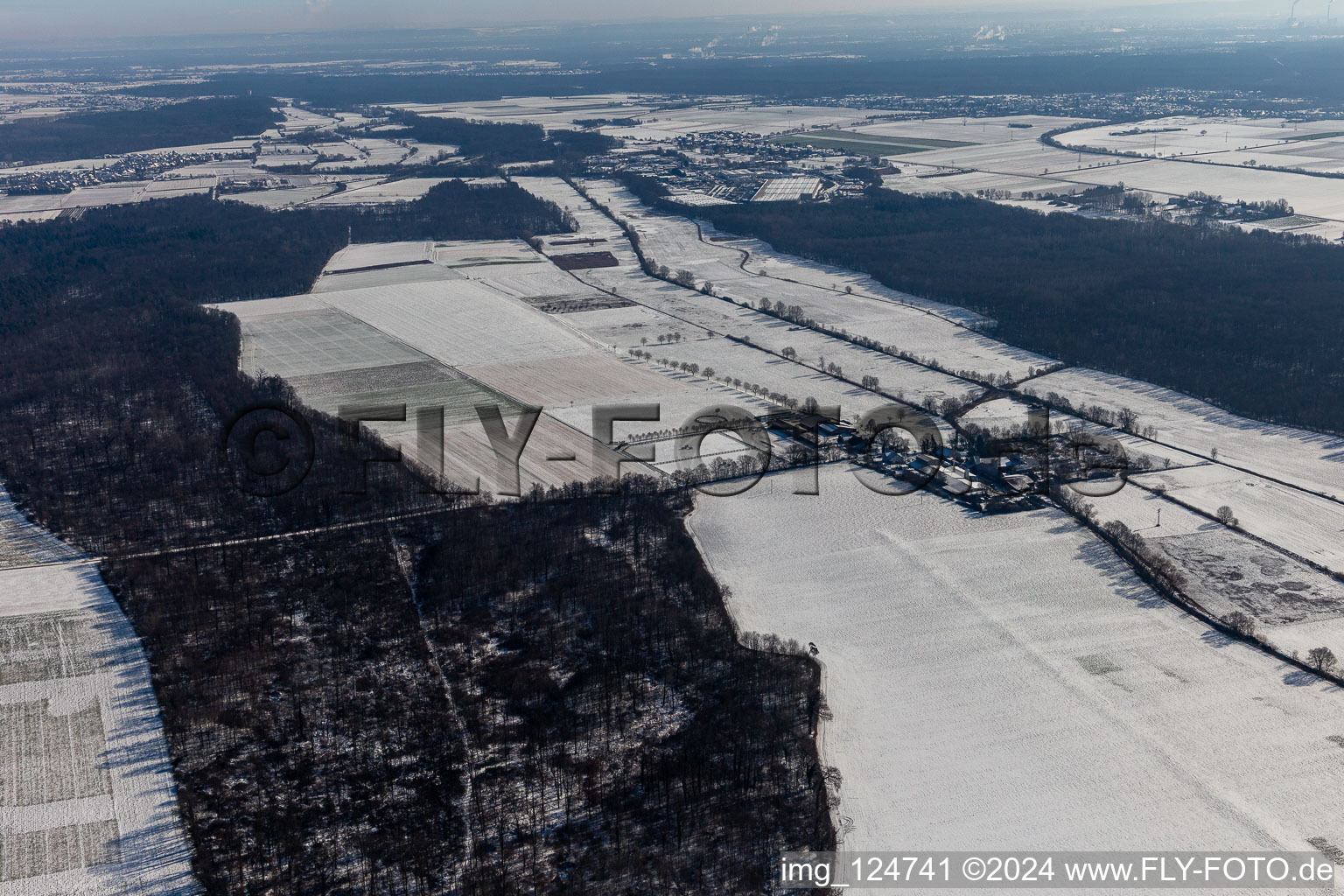 Vue aérienne de Vue aérienne d'hiver dans la neige Palatino Ranch à Steinweiler dans le département Rhénanie-Palatinat, Allemagne