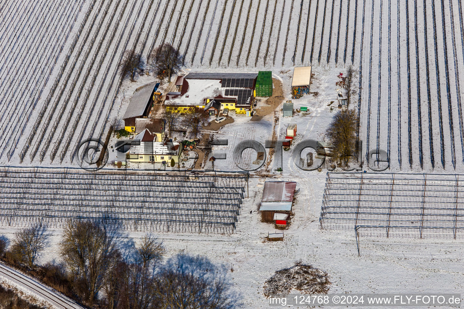 Vue aérienne de Vue aérienne d'hiver dans la neige de la ferme d'asperges et de fruits de Gensheimer à Steinweiler dans le département Rhénanie-Palatinat, Allemagne