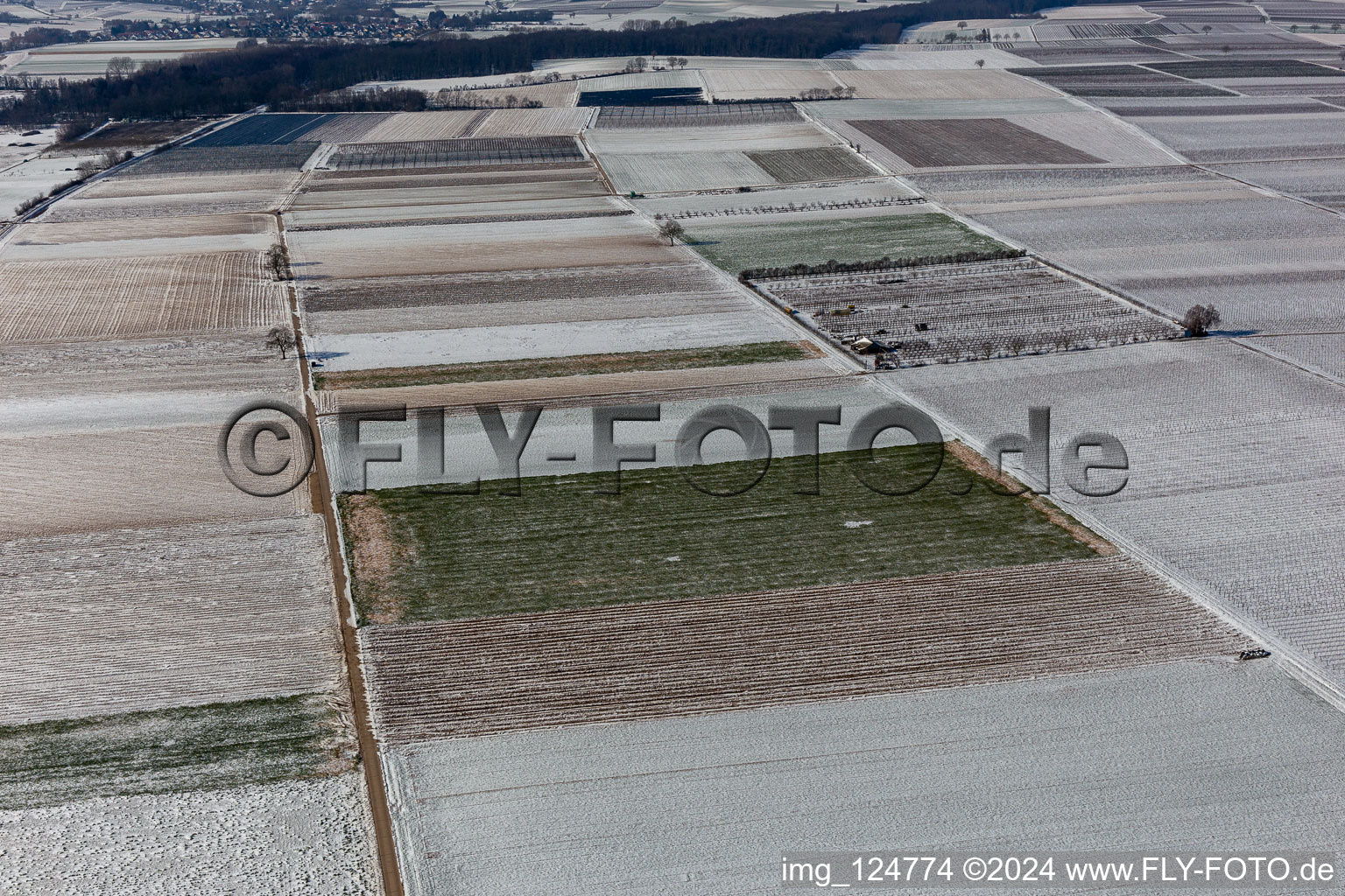 Vue aérienne de Vue aérienne d'hiver dans la neige à Billigheim-Ingenheim dans le département Rhénanie-Palatinat, Allemagne