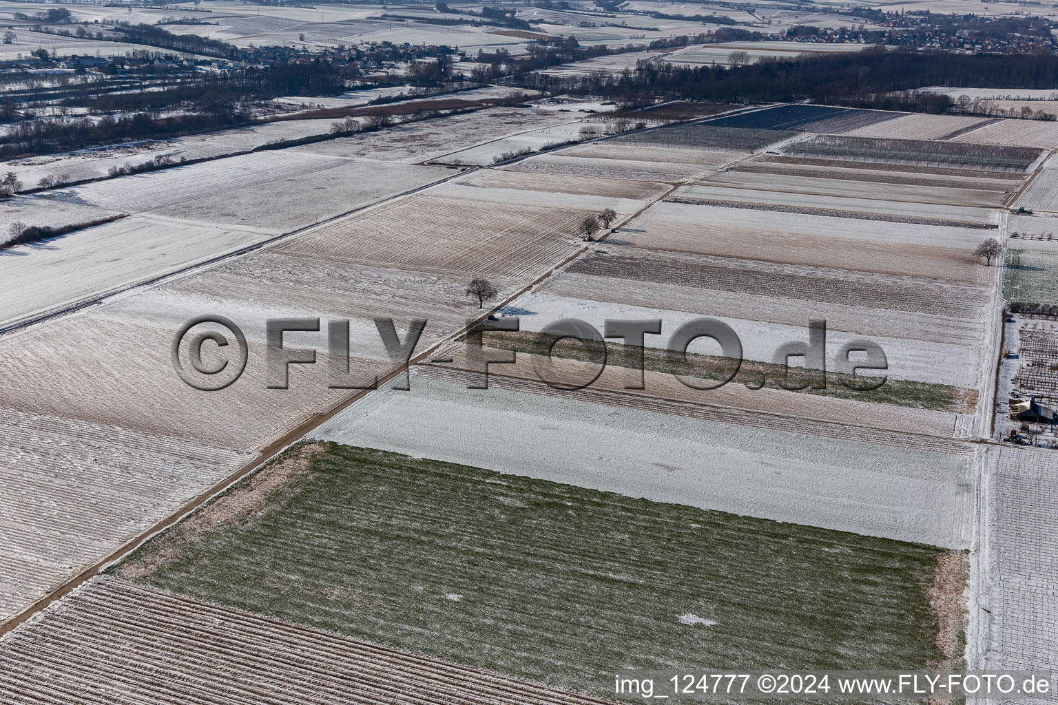 Vue aérienne de Vue aérienne d'hiver dans la neige à Billigheim-Ingenheim dans le département Rhénanie-Palatinat, Allemagne