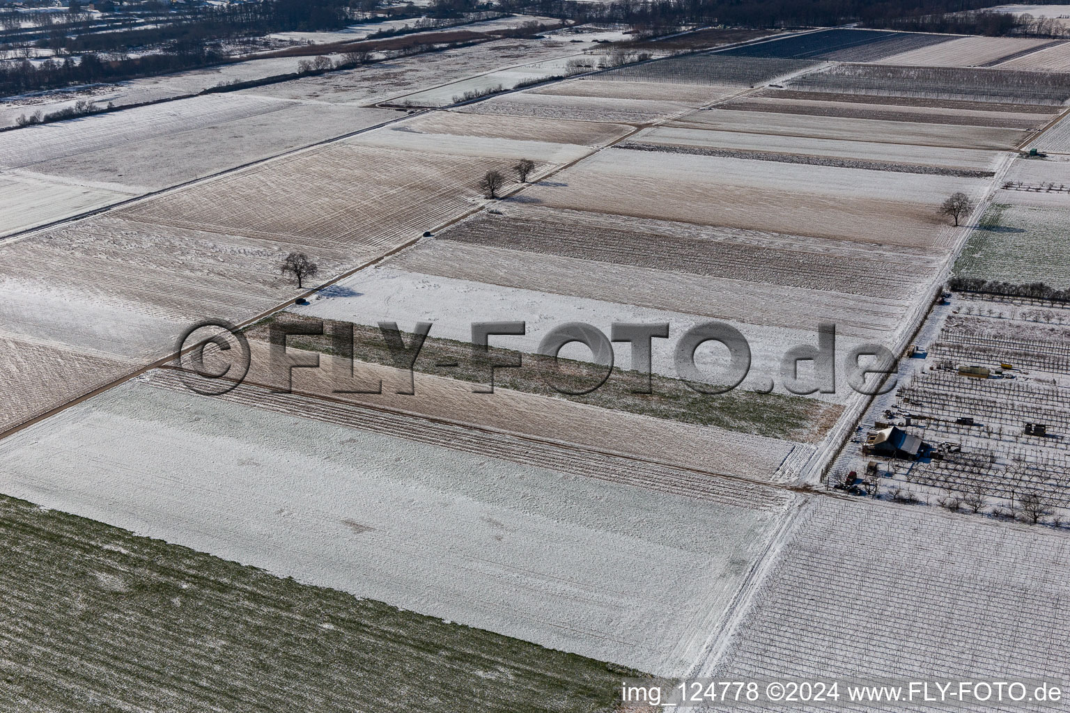 Vue aérienne de Vue aérienne d'hiver dans la neige à Billigheim-Ingenheim dans le département Rhénanie-Palatinat, Allemagne