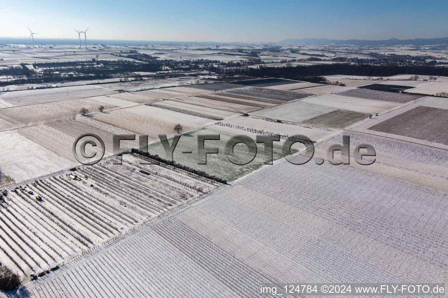 Vue aérienne de Vue aérienne d'hiver dans la neige à le quartier Mühlhofen in Billigheim-Ingenheim dans le département Rhénanie-Palatinat, Allemagne