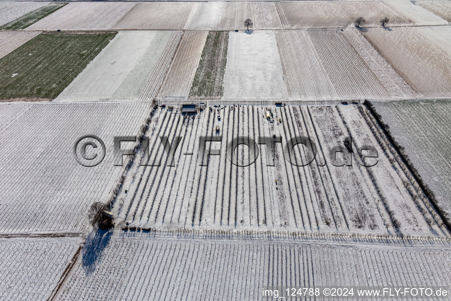 Vue aérienne de Vue aérienne d'hiver dans la neige à le quartier Mühlhofen in Billigheim-Ingenheim dans le département Rhénanie-Palatinat, Allemagne