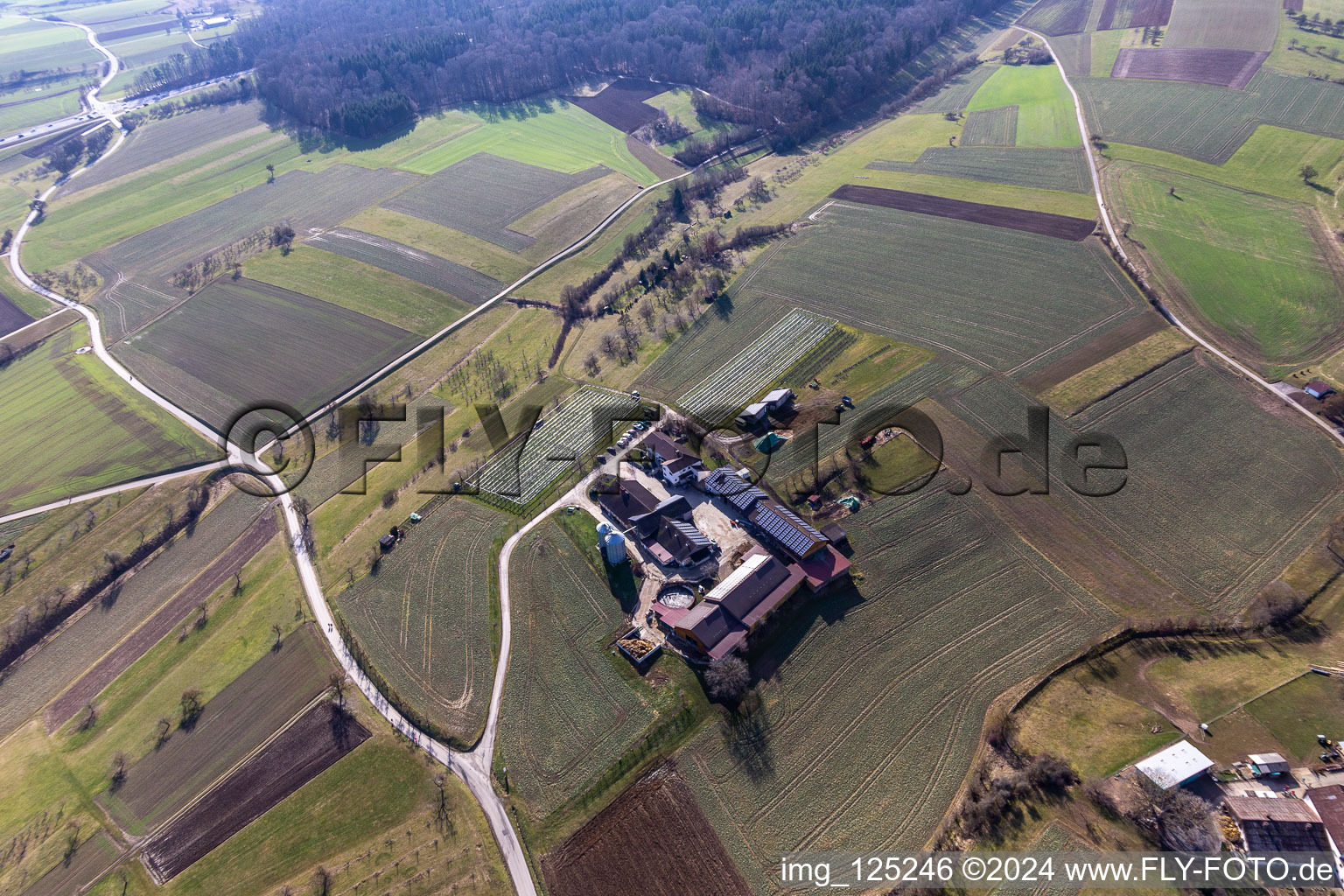 Vue aérienne de Hof Haarer à le quartier Kuppingen in Herrenberg dans le département Bade-Wurtemberg, Allemagne