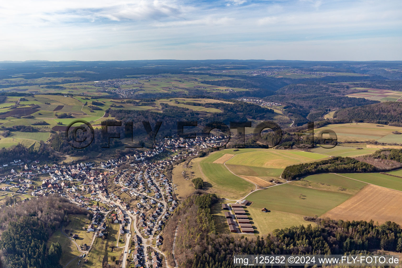 Vue aérienne de Sulz au coin à Wildberg dans le département Bade-Wurtemberg, Allemagne