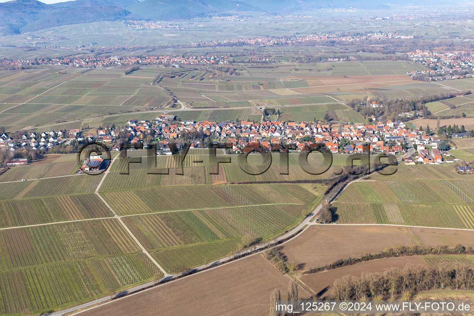 Quartier Wollmesheim in Landau in der Pfalz dans le département Rhénanie-Palatinat, Allemagne vue du ciel