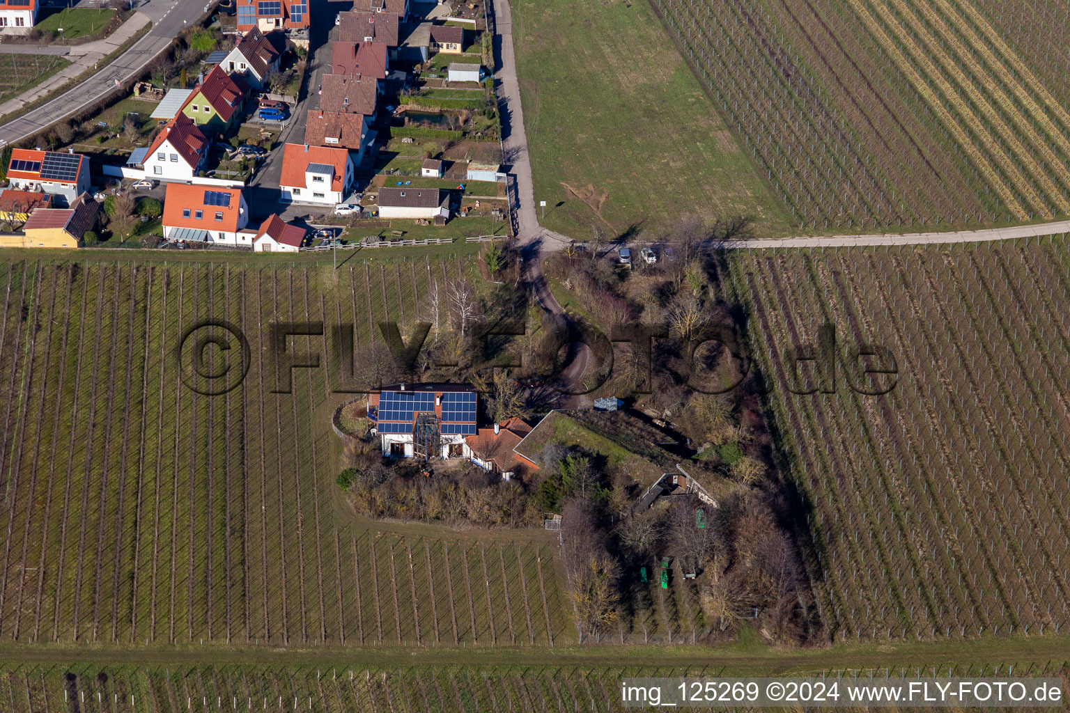 Vue aérienne de Viticulture Bioland sous toit d'herbe à le quartier Wollmesheim in Landau in der Pfalz dans le département Rhénanie-Palatinat, Allemagne