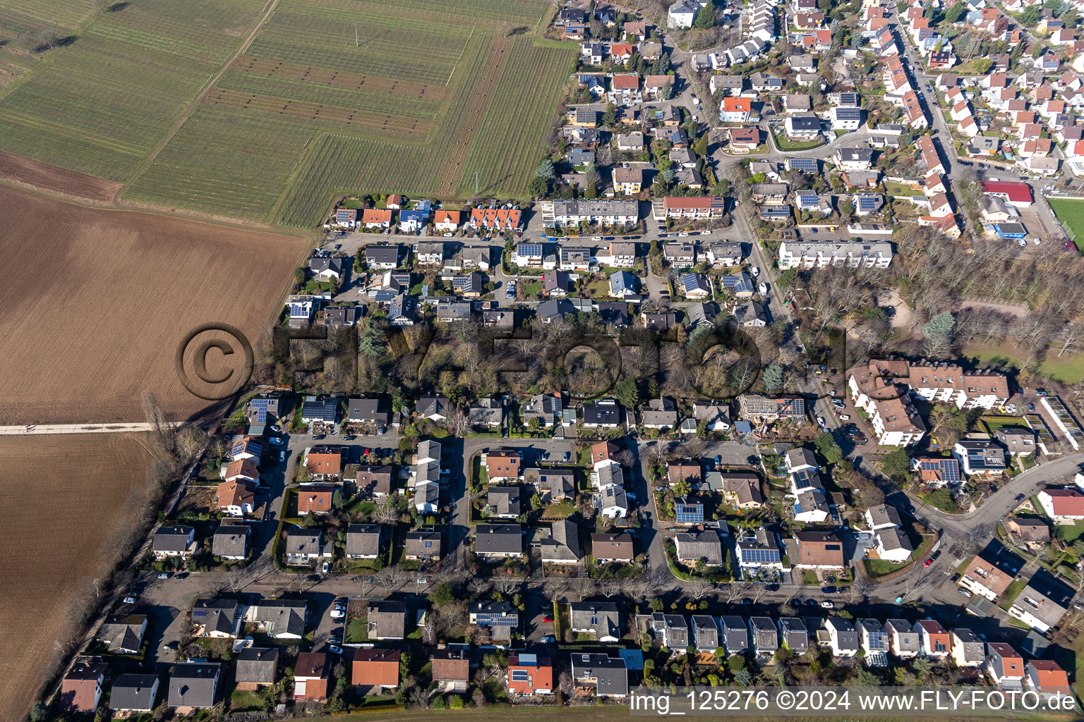 Vue aérienne de Rue Kolmar à Landau in der Pfalz dans le département Rhénanie-Palatinat, Allemagne