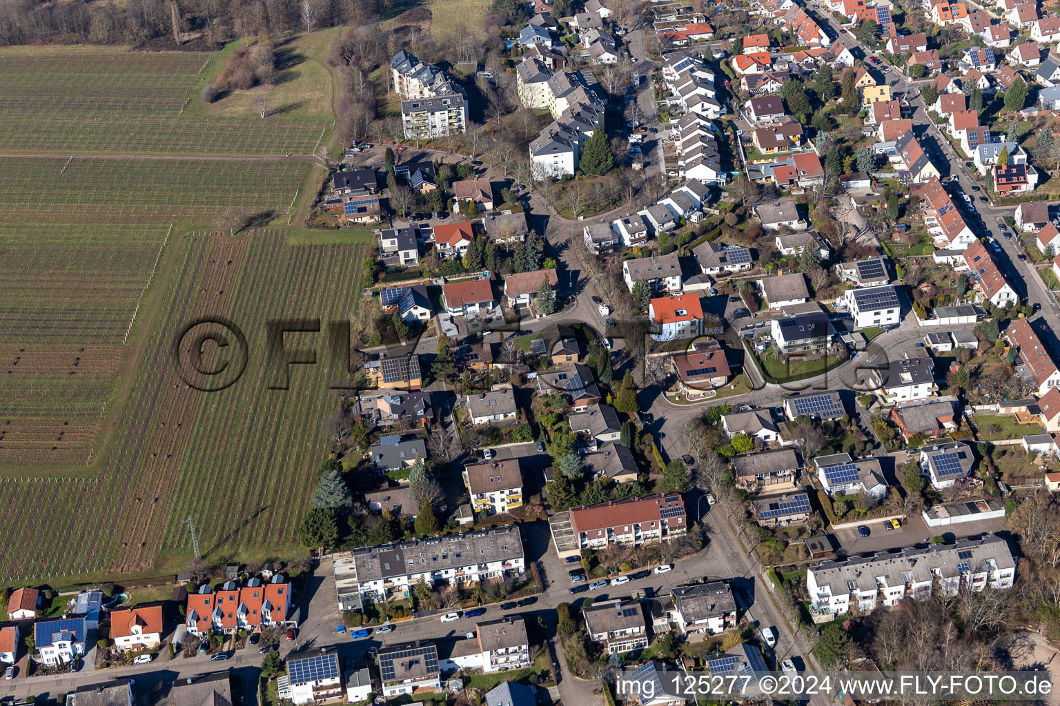 Vue aérienne de Rue Hagenauer à Landau in der Pfalz dans le département Rhénanie-Palatinat, Allemagne