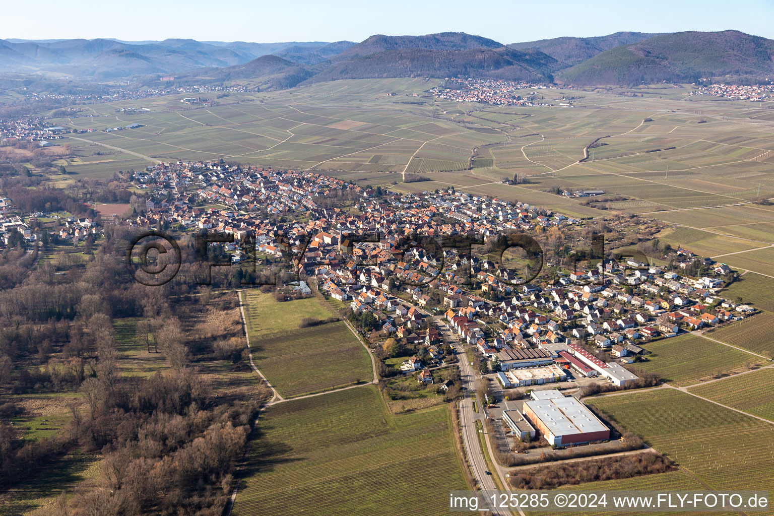 Vue oblique de Quartier Godramstein in Landau in der Pfalz dans le département Rhénanie-Palatinat, Allemagne