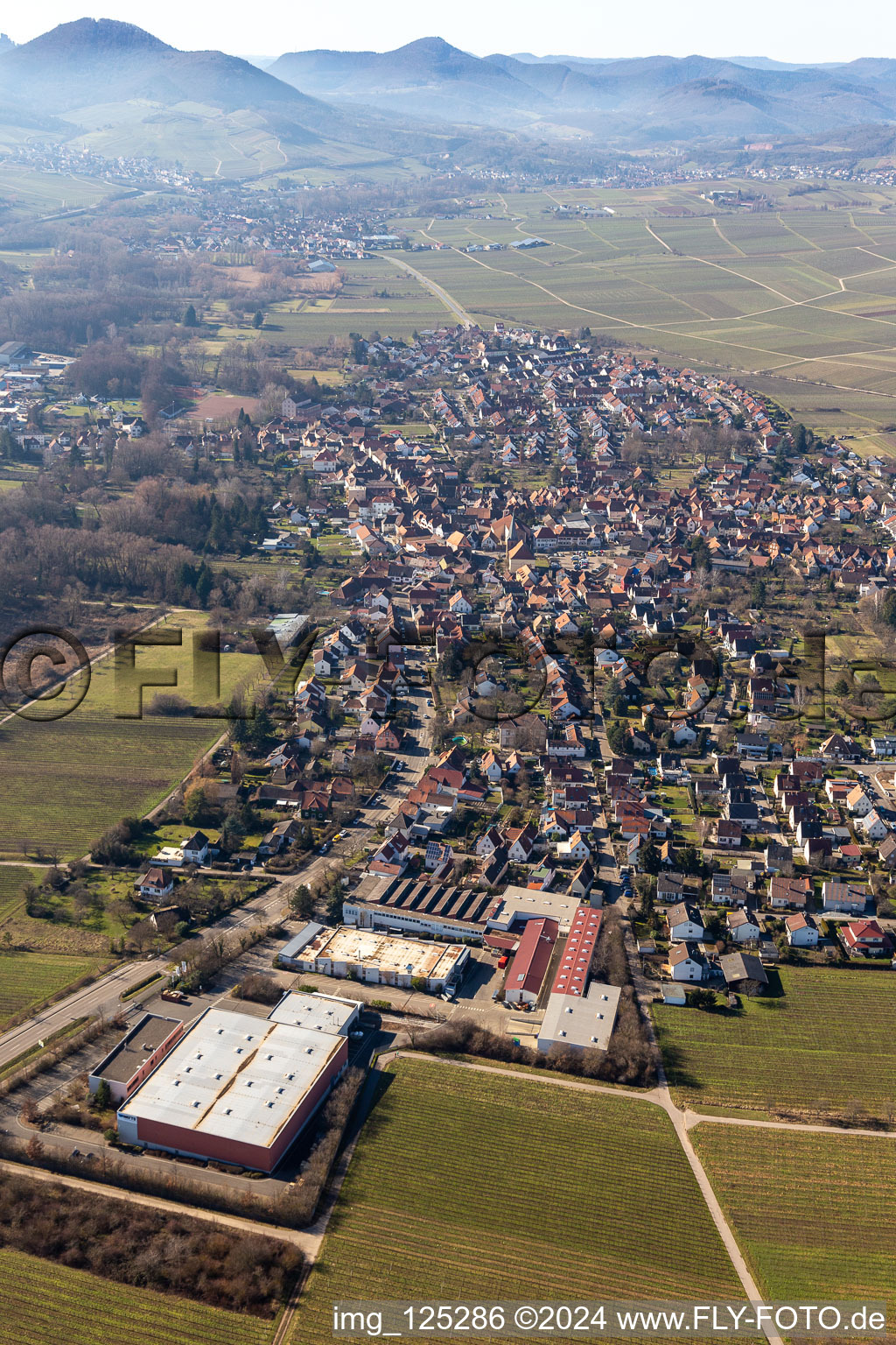 Quartier Godramstein in Landau in der Pfalz dans le département Rhénanie-Palatinat, Allemagne d'en haut