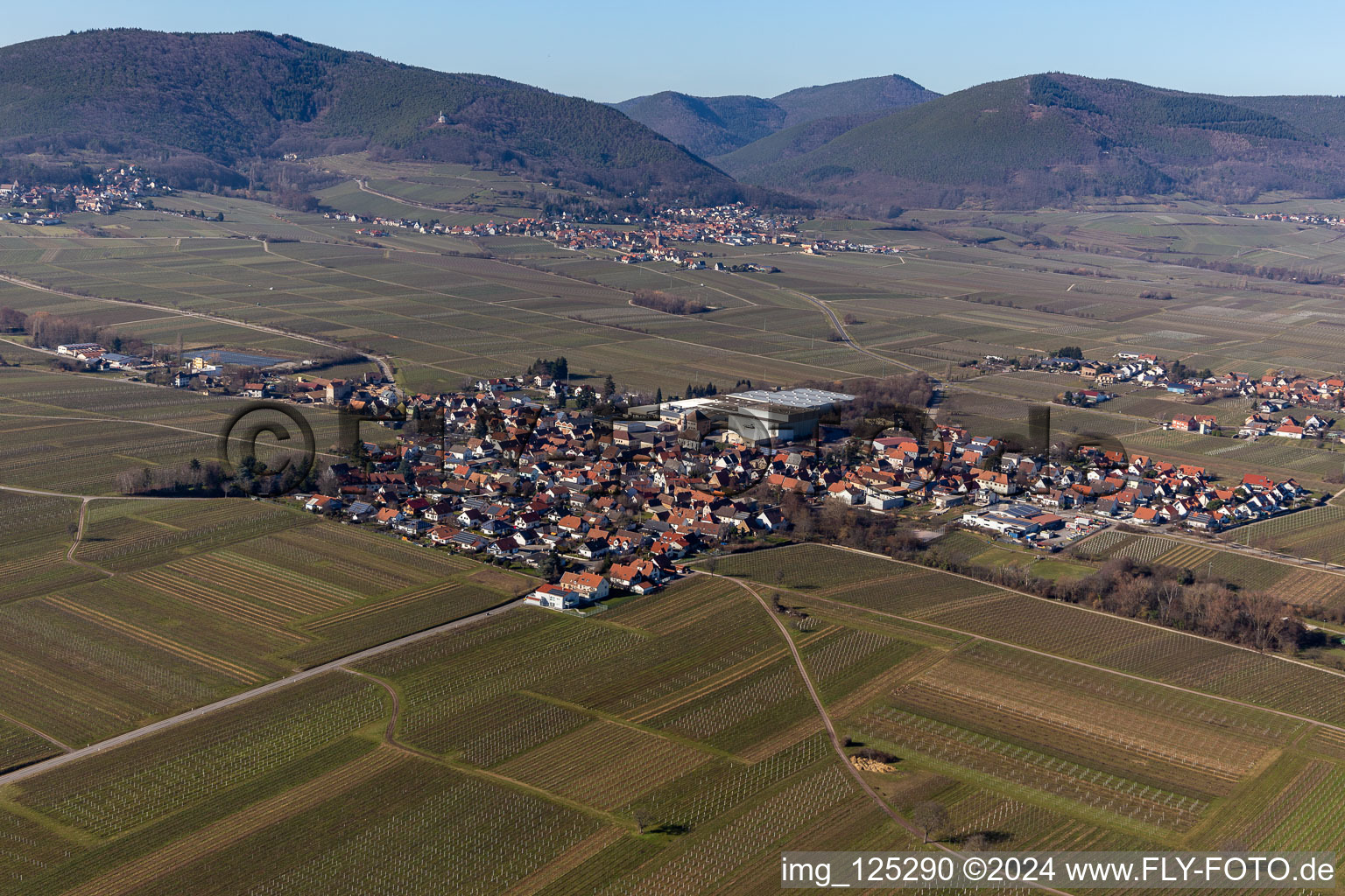 Böchingen dans le département Rhénanie-Palatinat, Allemagne vue d'en haut