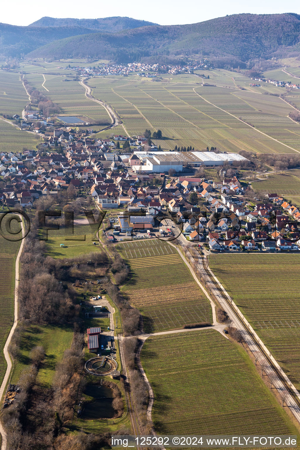 Vue d'oiseau de Böchingen dans le département Rhénanie-Palatinat, Allemagne