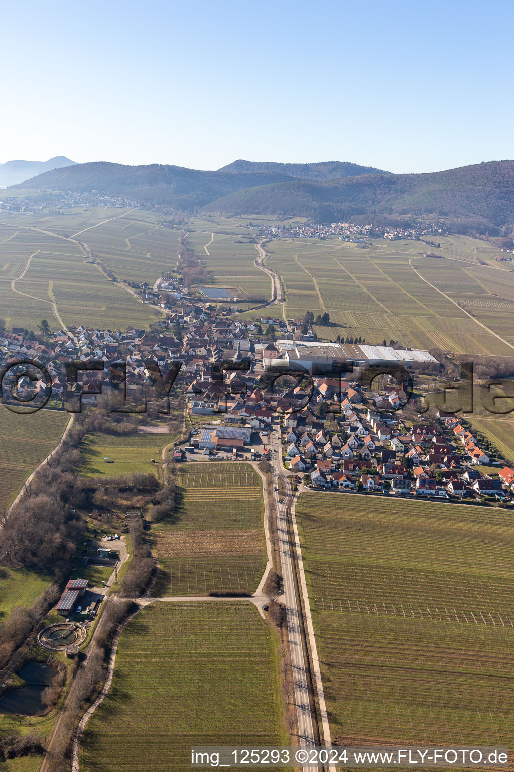 Böchingen dans le département Rhénanie-Palatinat, Allemagne vue du ciel