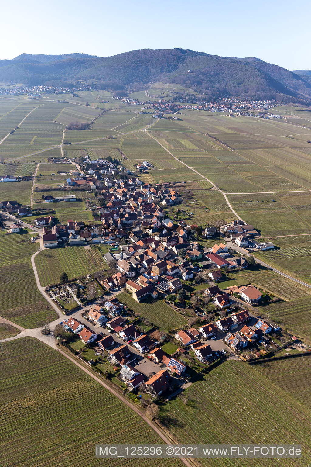 Flemlingen dans le département Rhénanie-Palatinat, Allemagne vue d'en haut