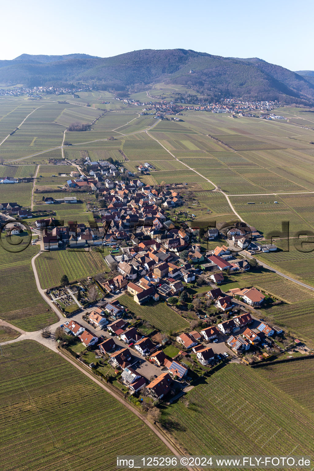 Flemlingen dans le département Rhénanie-Palatinat, Allemagne vue d'en haut