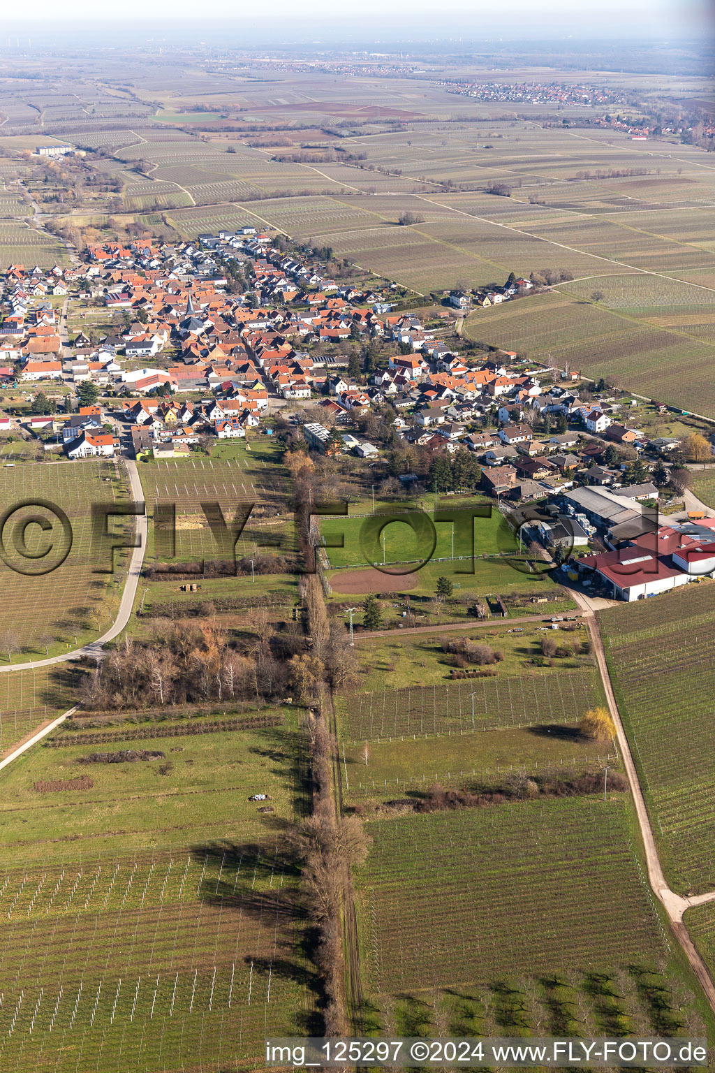 Roschbach dans le département Rhénanie-Palatinat, Allemagne vue d'en haut