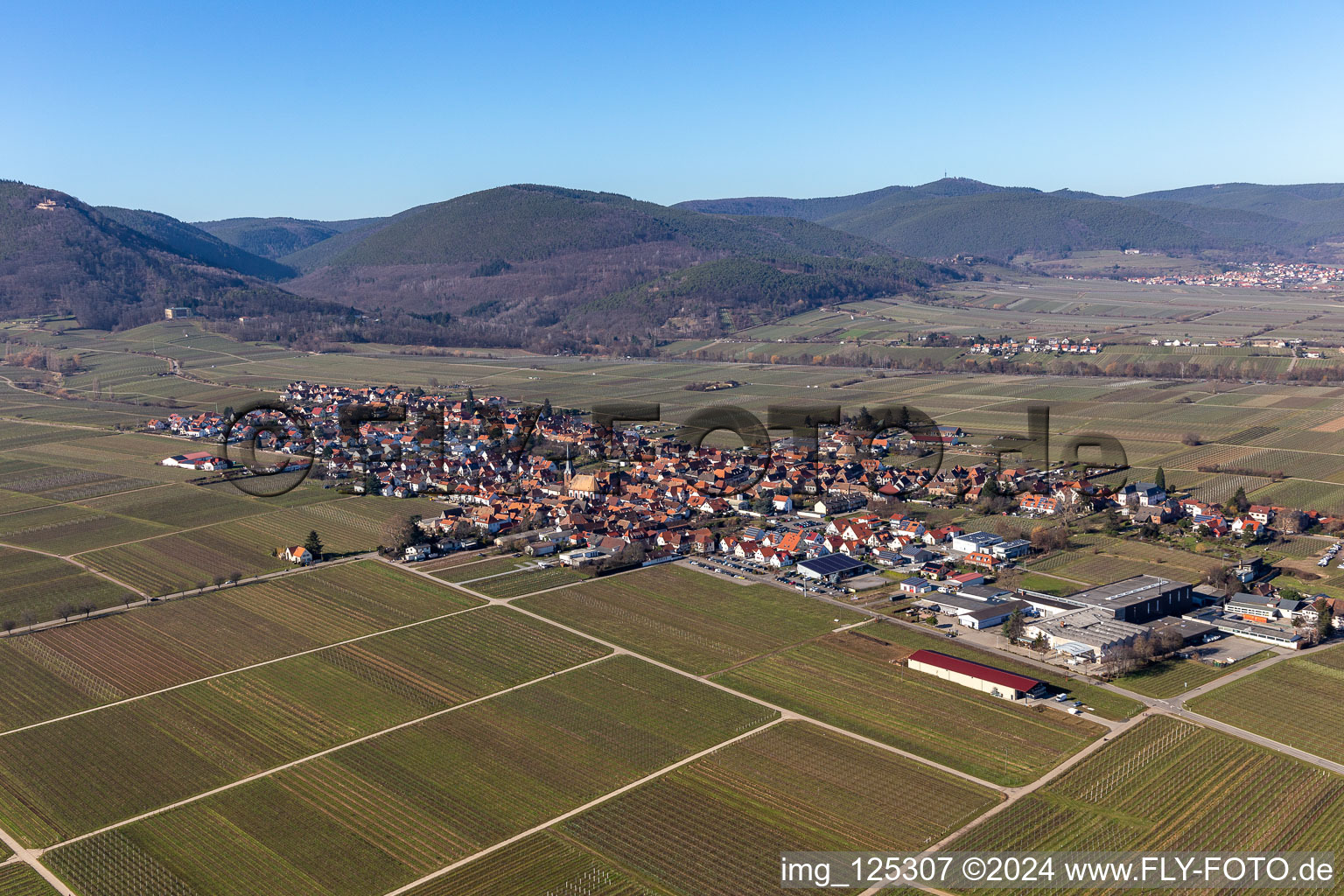 Vue aérienne de Quartier Rhodt in Rhodt unter Rietburg dans le département Rhénanie-Palatinat, Allemagne