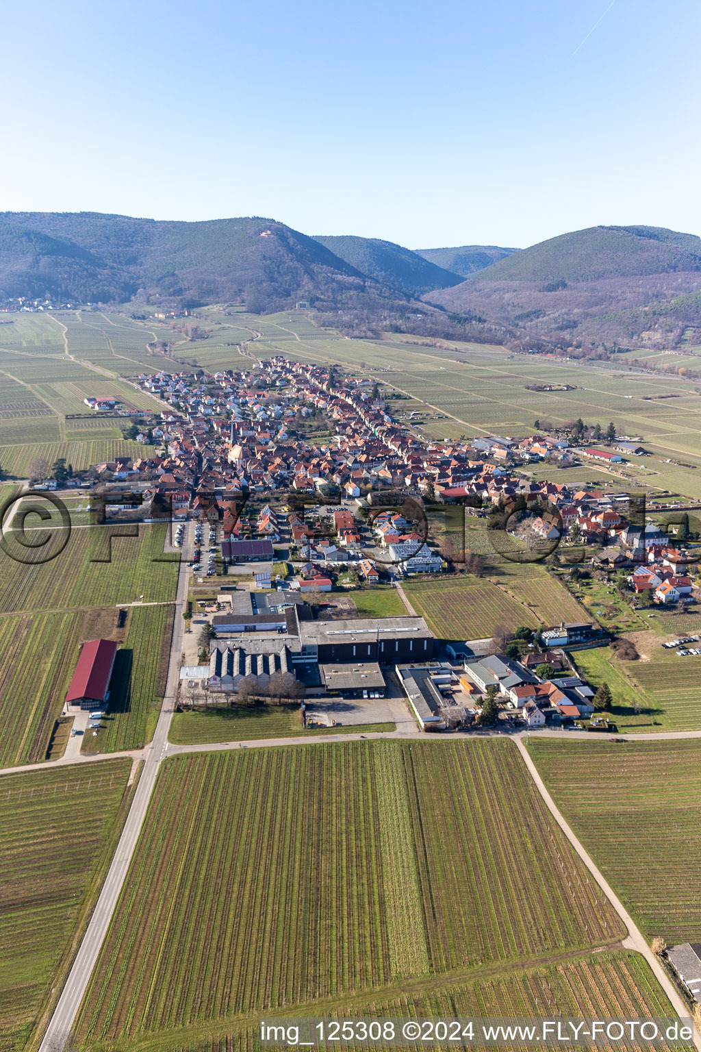 Vue aérienne de Quartier Rhodt in Rhodt unter Rietburg dans le département Rhénanie-Palatinat, Allemagne