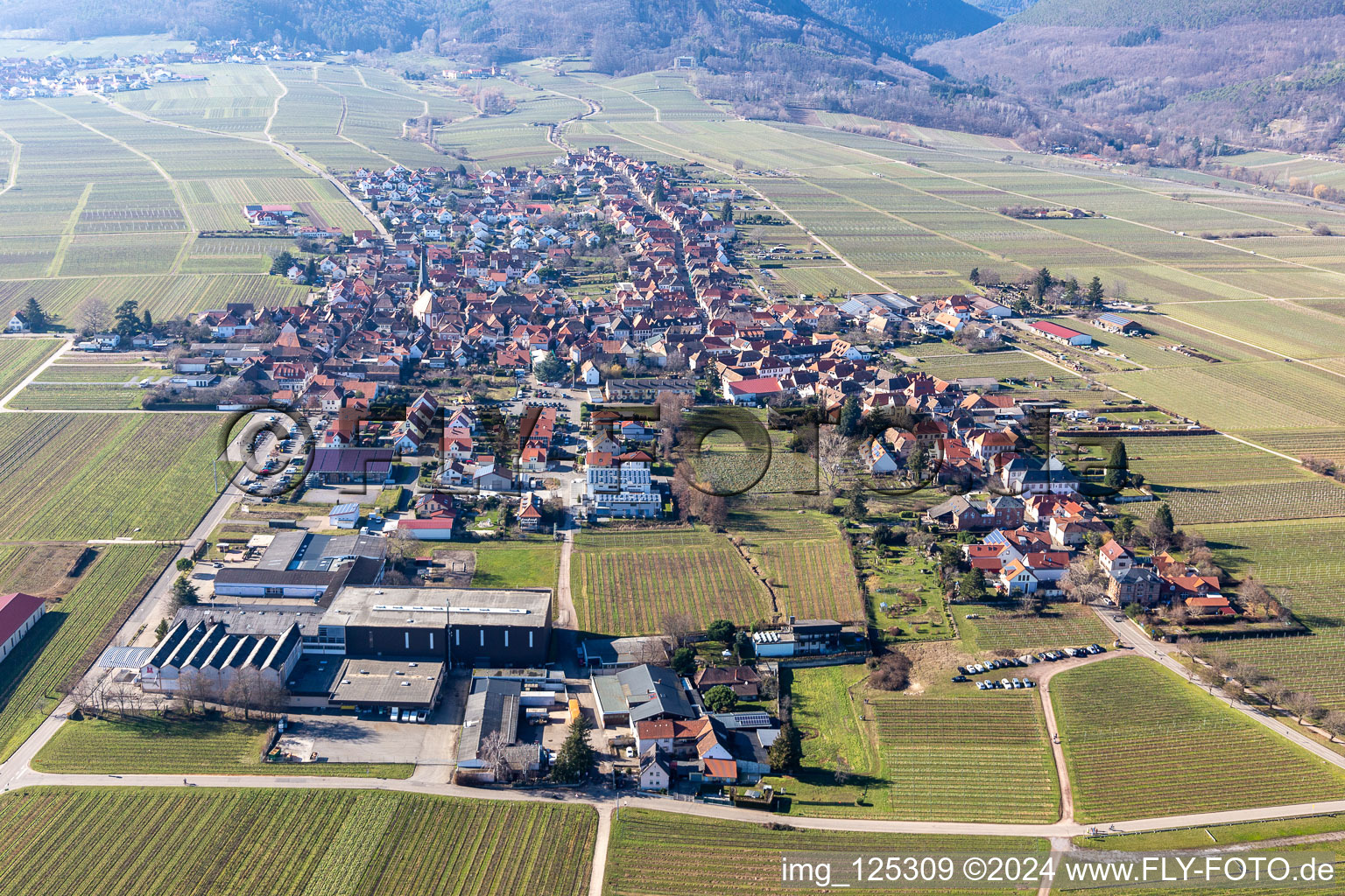 Photographie aérienne de Quartier Rhodt in Rhodt unter Rietburg dans le département Rhénanie-Palatinat, Allemagne