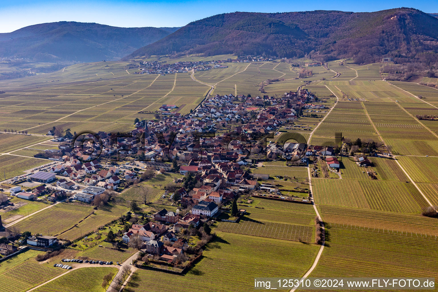 Vue oblique de Quartier Rhodt in Rhodt unter Rietburg dans le département Rhénanie-Palatinat, Allemagne