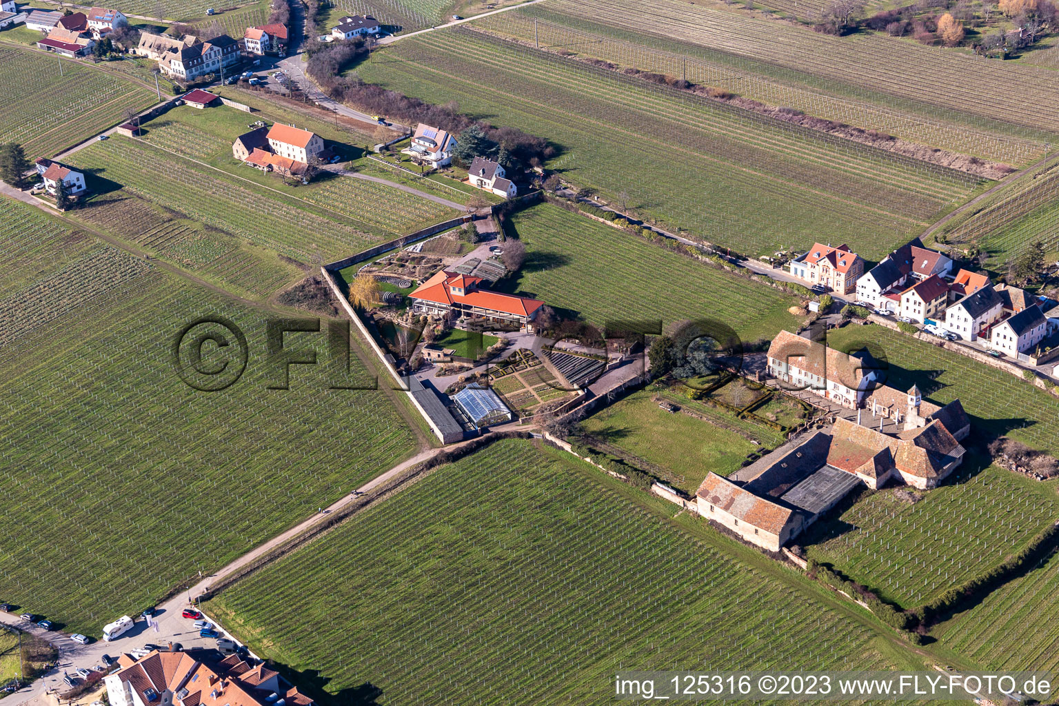 Vue aérienne de Klosterstr. à Edenkoben dans le département Rhénanie-Palatinat, Allemagne
