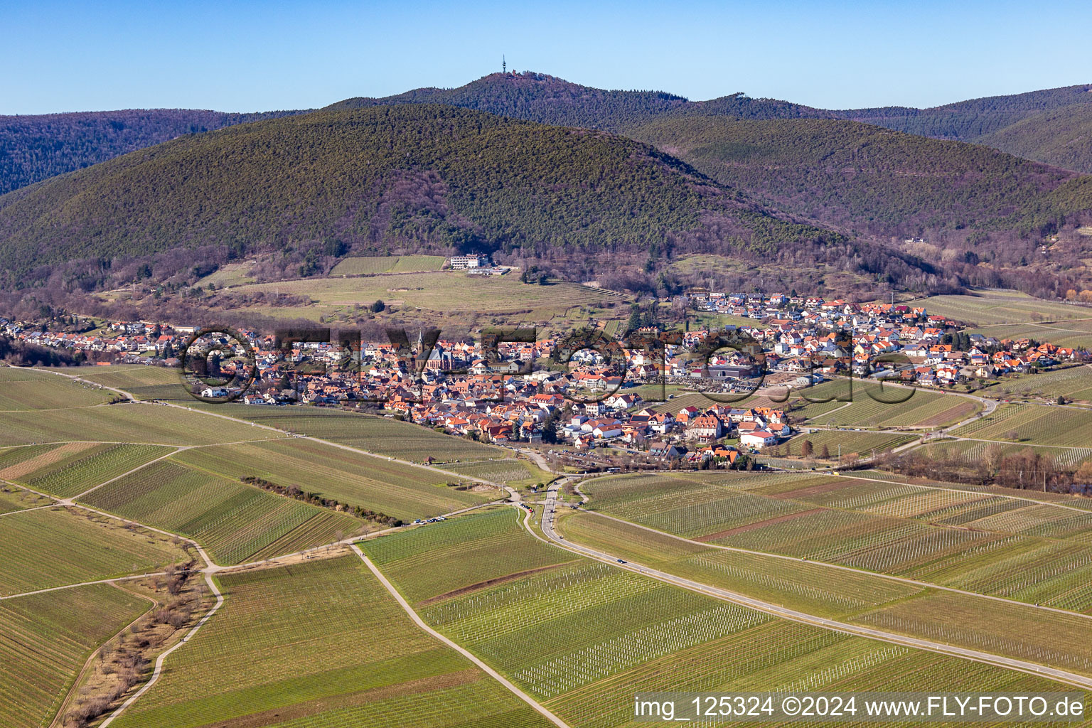 Vue aérienne de Quartier SaintMartin in Sankt Martin dans le département Rhénanie-Palatinat, Allemagne